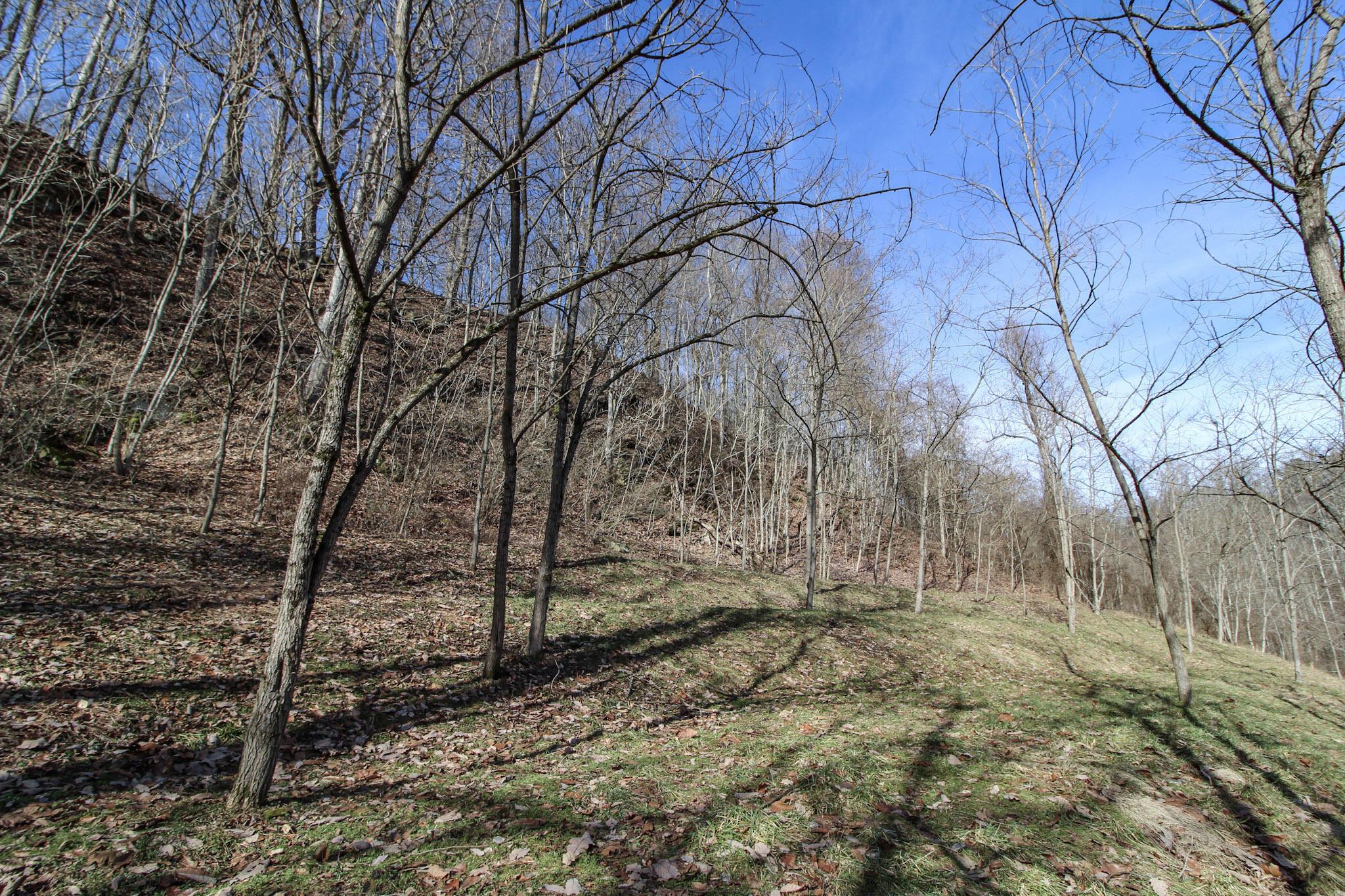 0 Sugar Run Road Property Photo 16