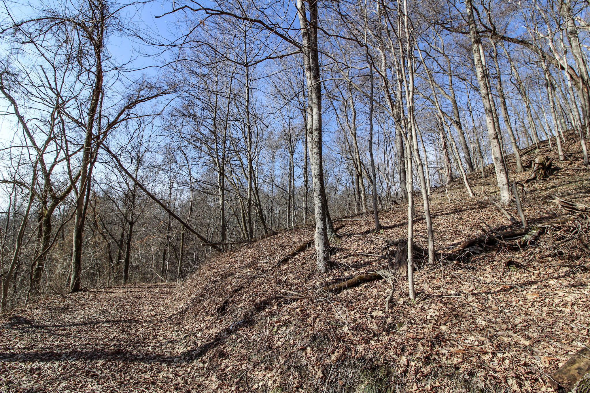 0 Sugar Run Road Property Photo 17