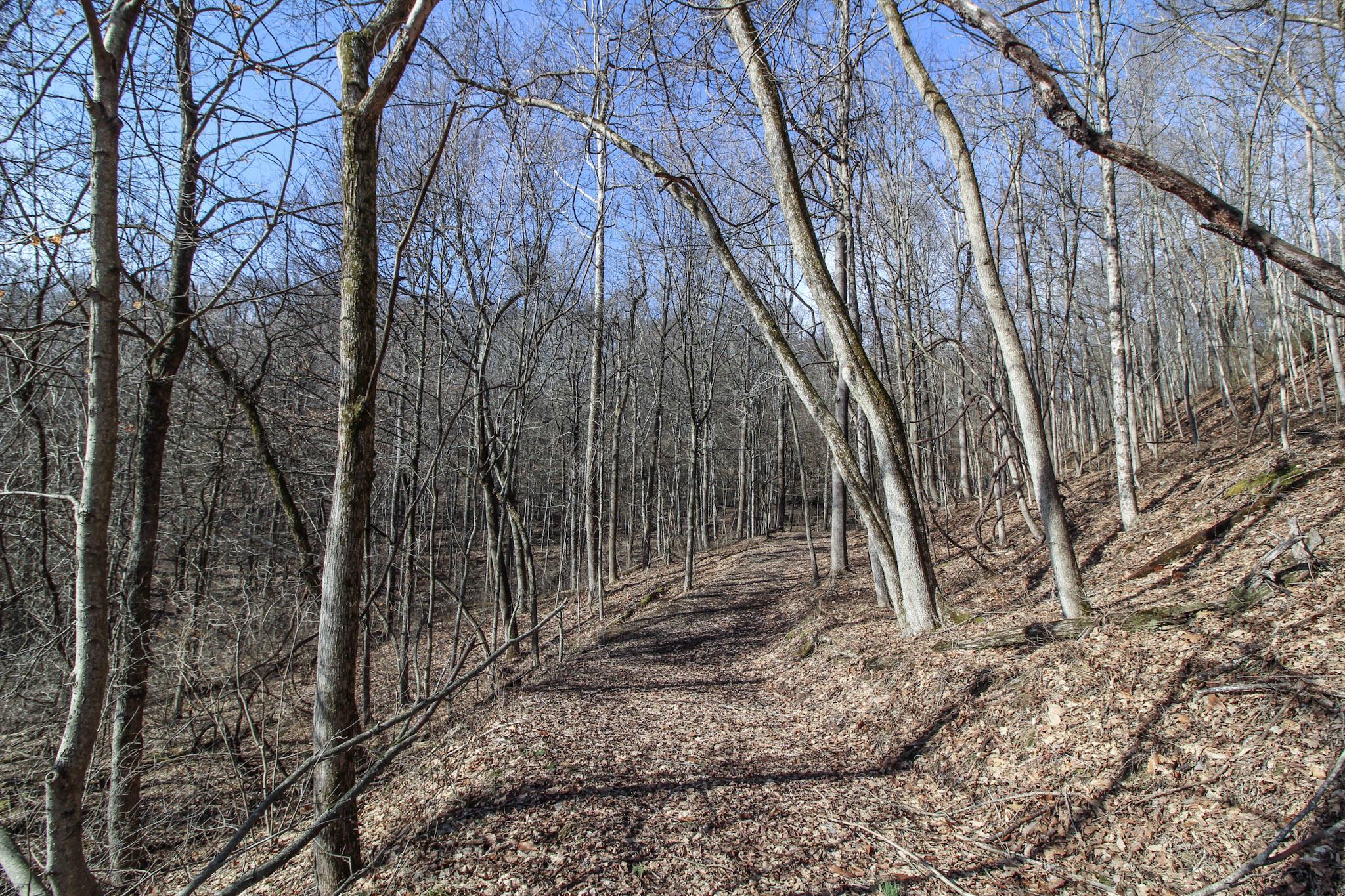 0 Sugar Run Road Property Photo 18