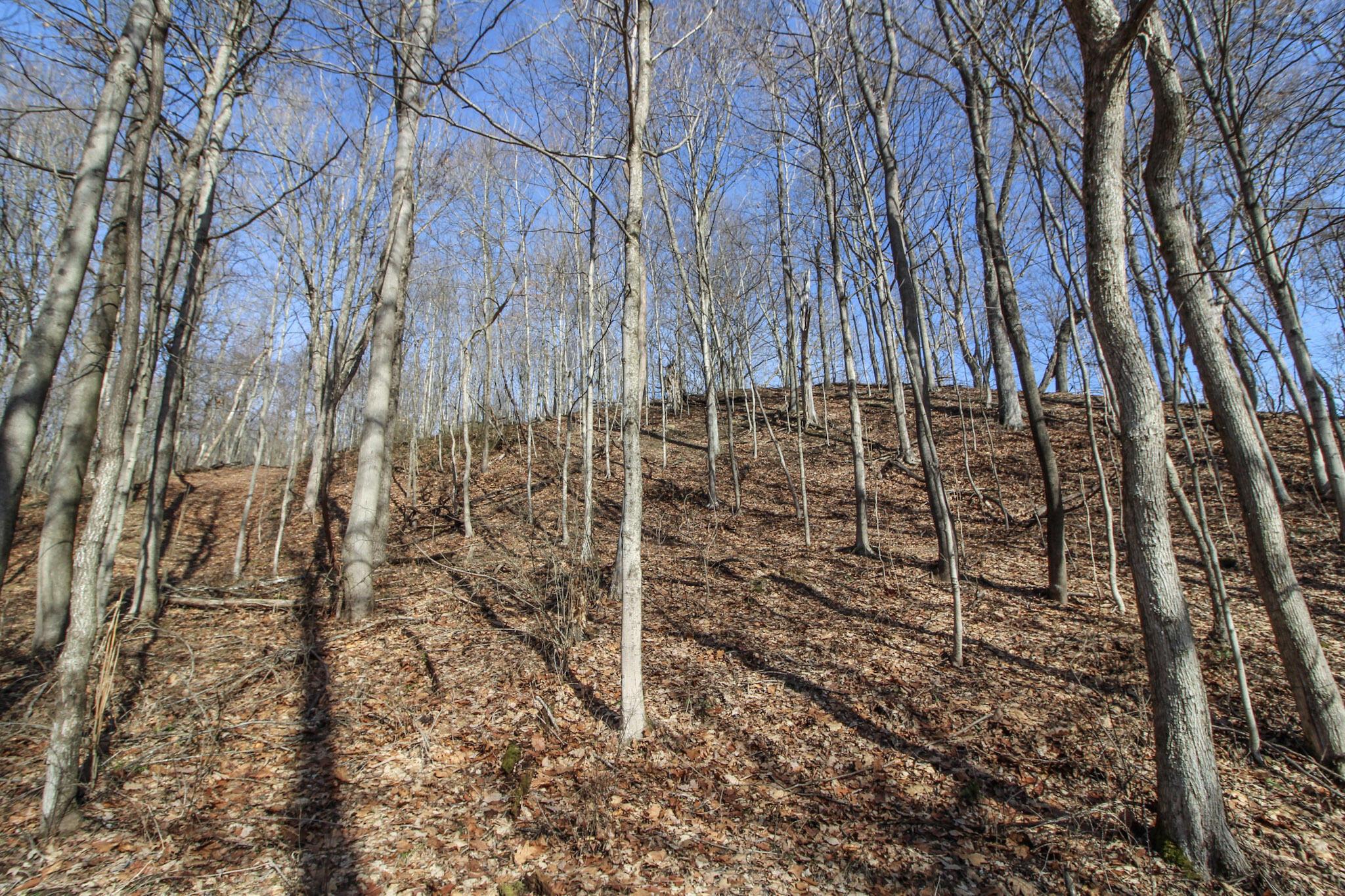 0 Sugar Run Road Property Photo 19