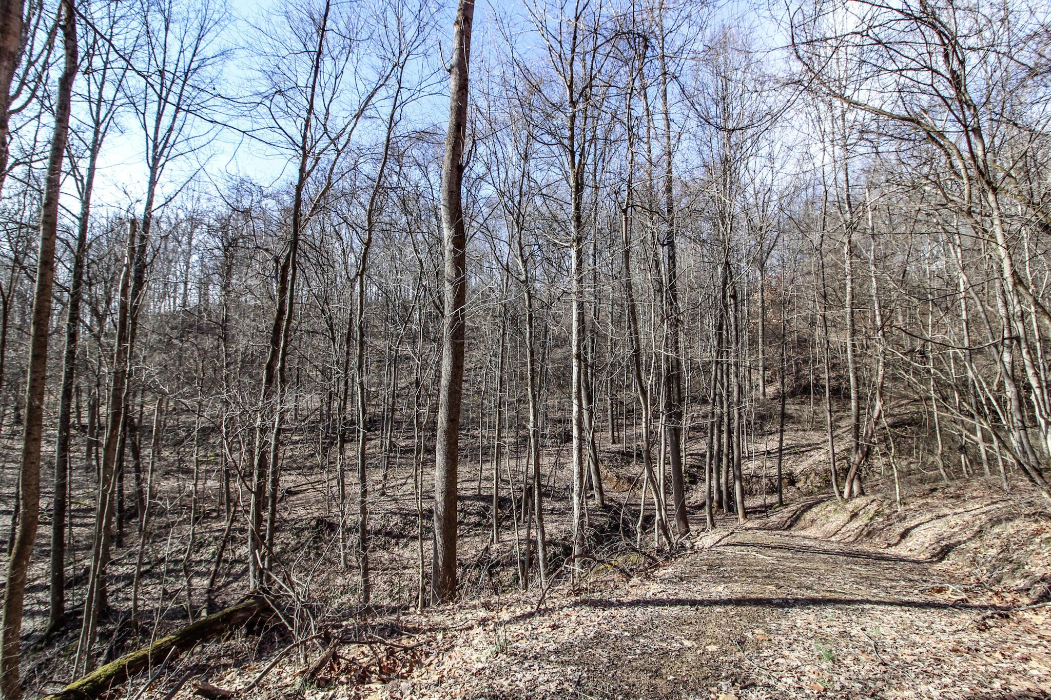 0 Sugar Run Road Property Photo 20