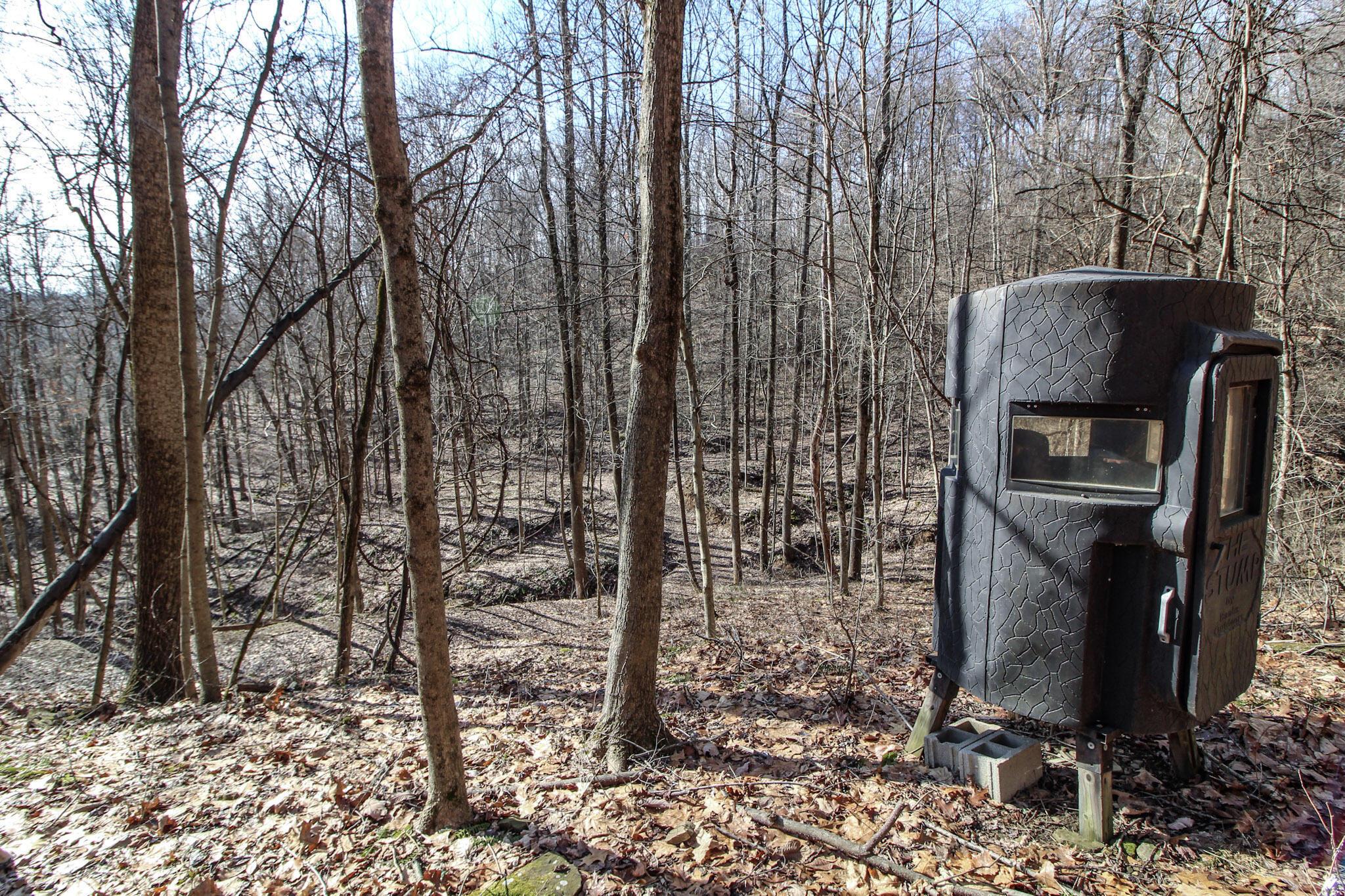 0 Sugar Run Road Property Photo 21