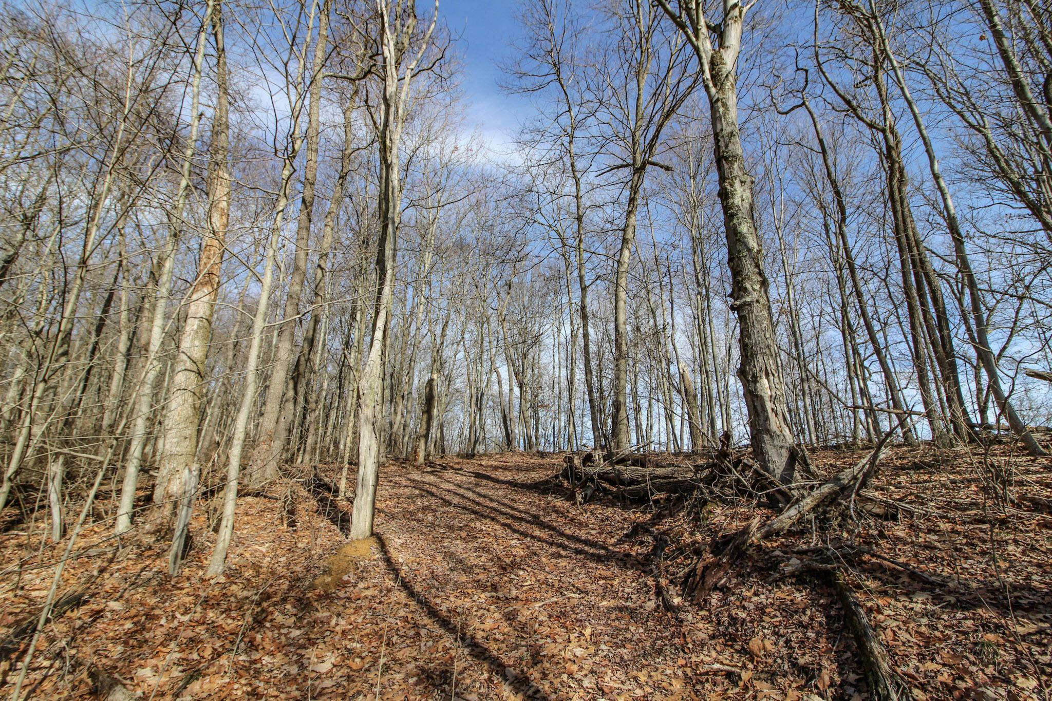 0 Sugar Run Road Property Photo 22