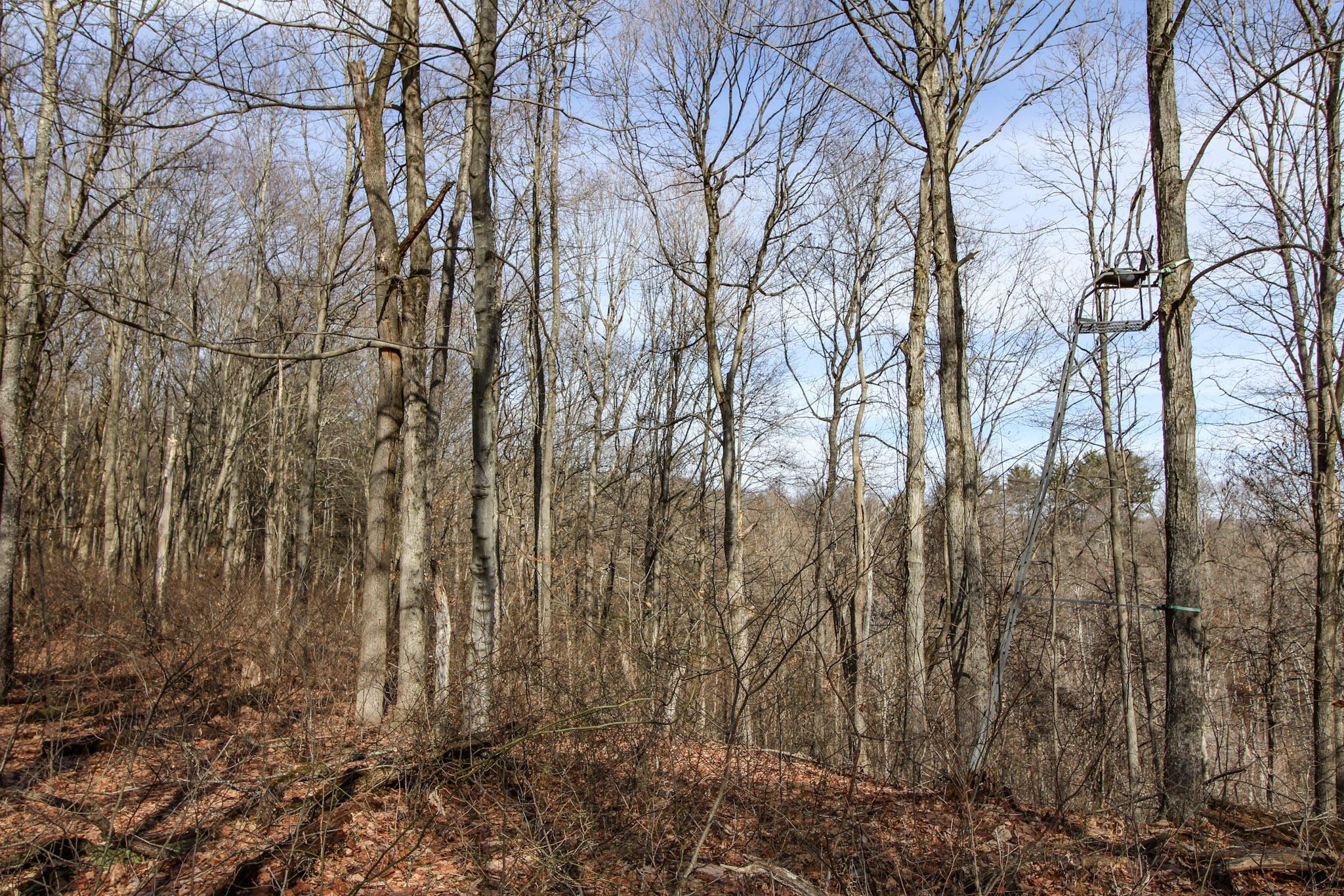 0 Sugar Run Road Property Photo 23