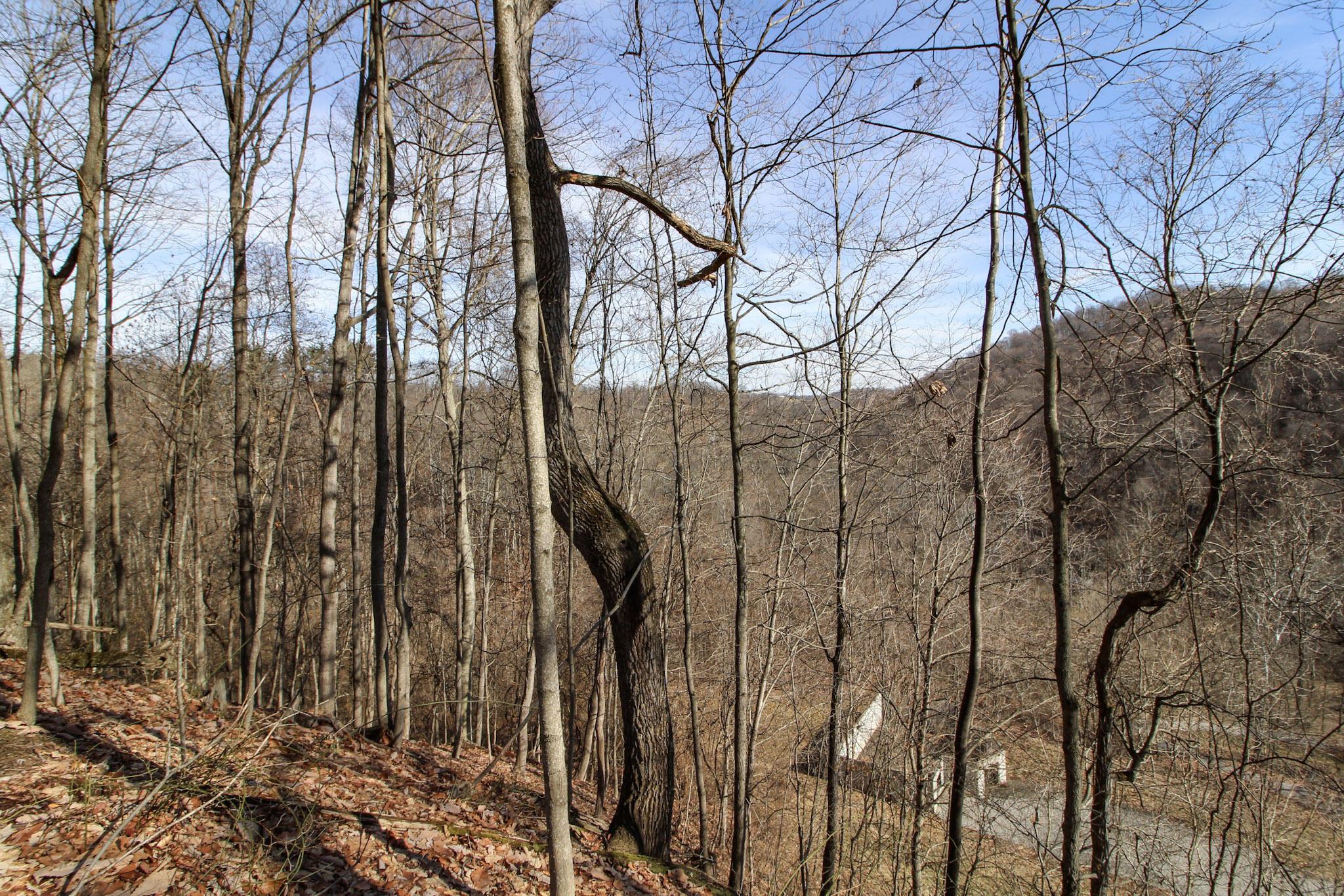 0 Sugar Run Road Property Photo 24