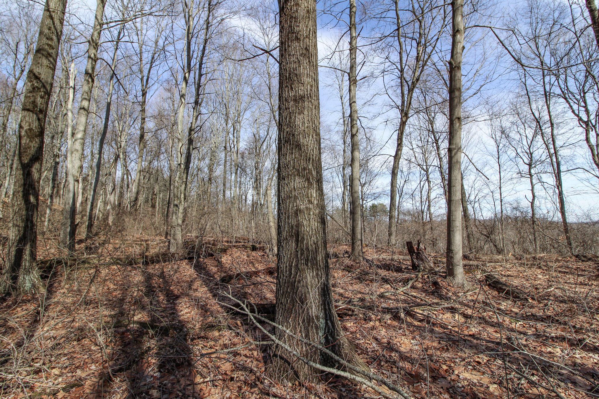 0 Sugar Run Road Property Photo 27