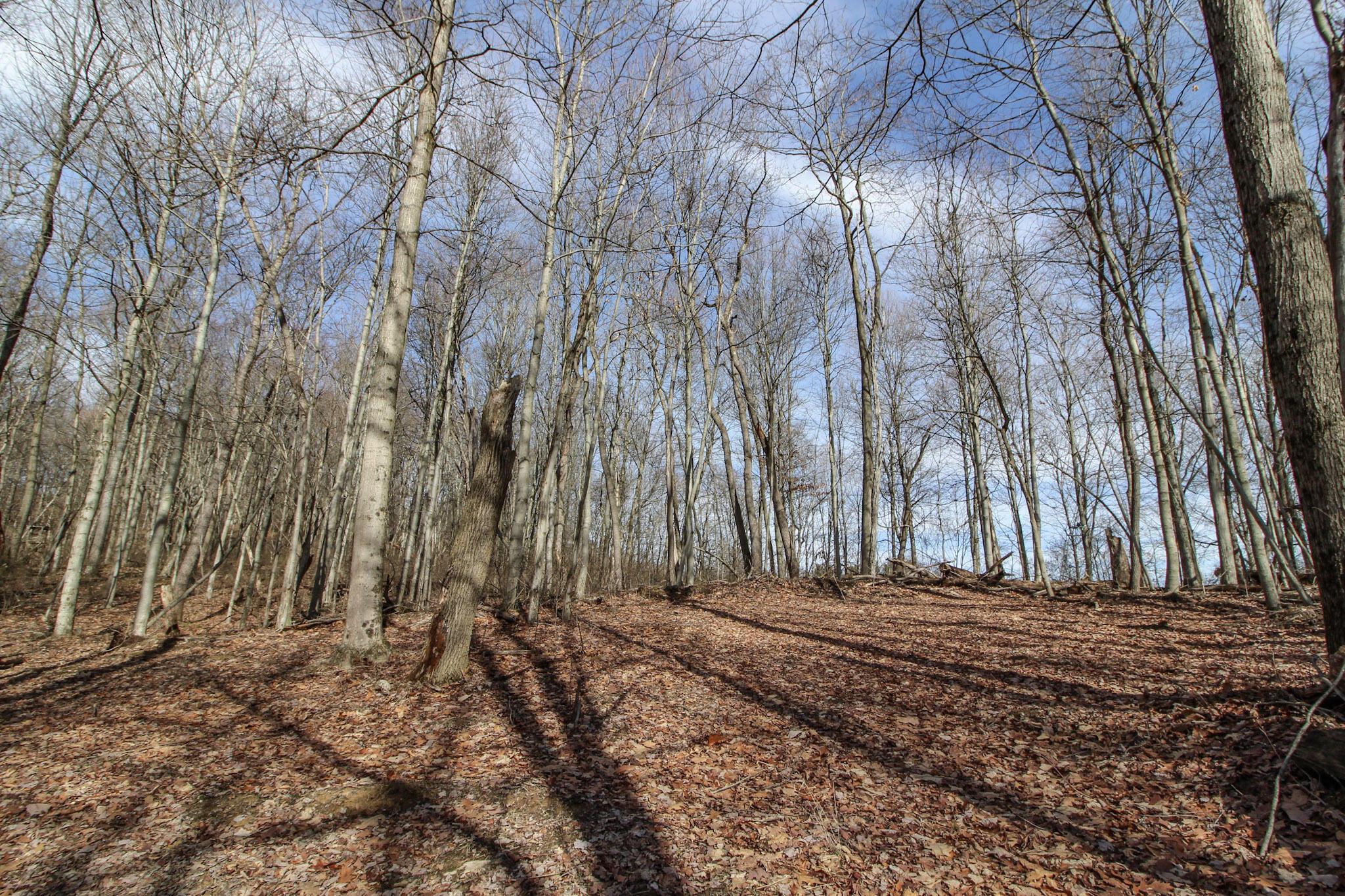 0 Sugar Run Road Property Photo 28