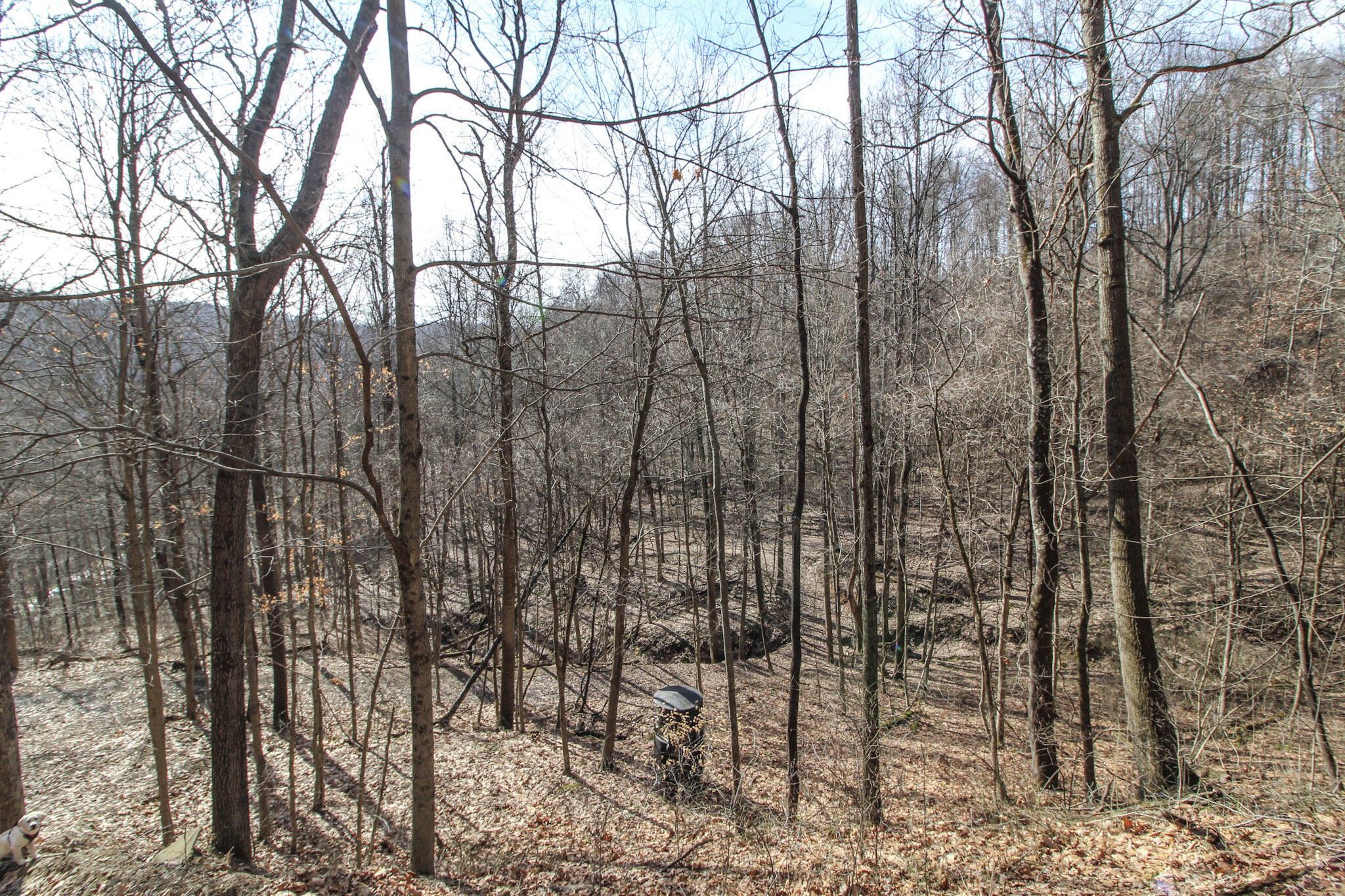 0 Sugar Run Road Property Photo 29