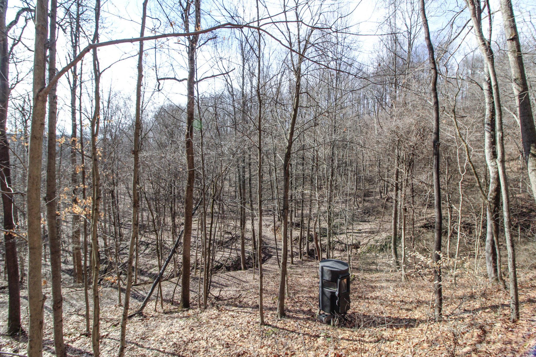 0 Sugar Run Road Property Photo 30