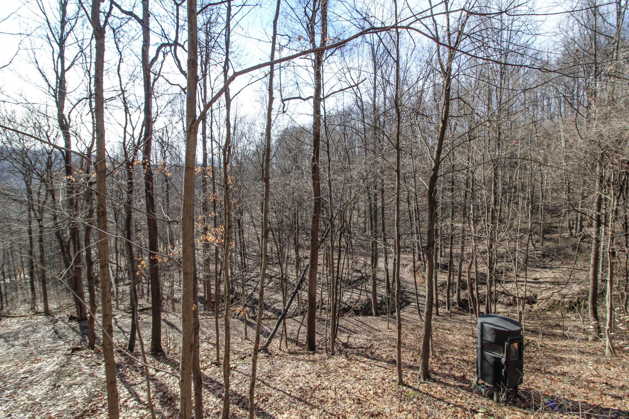 0 Sugar Run Road Property Photo 31