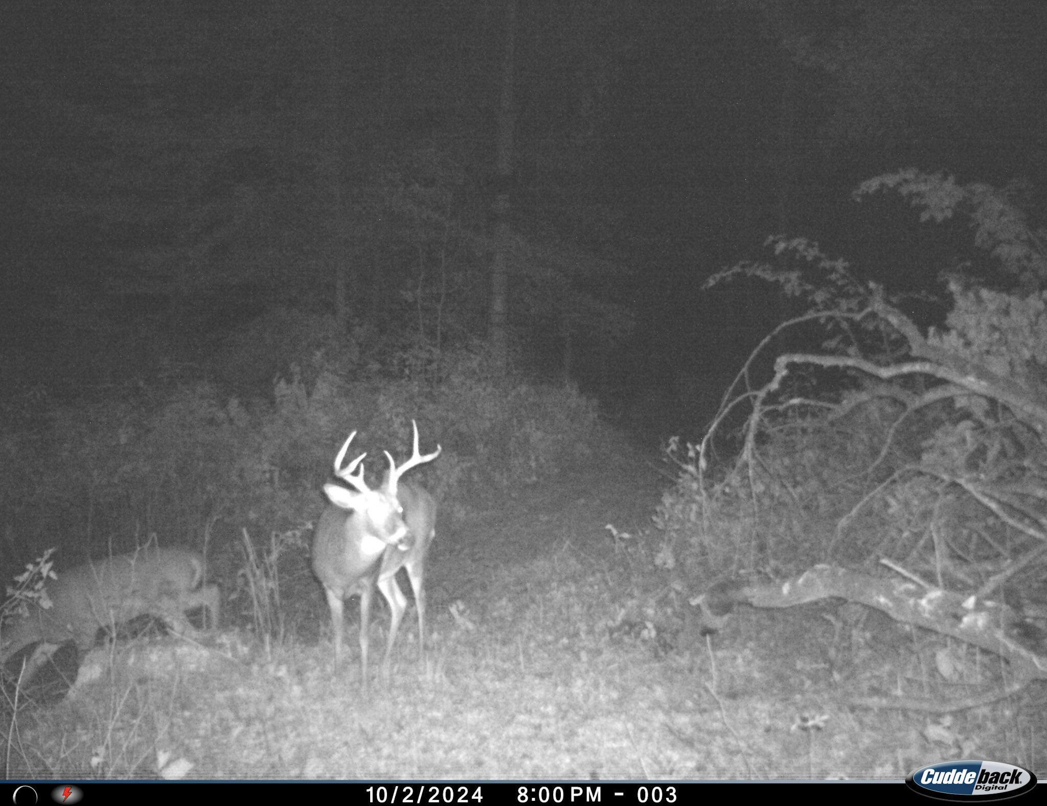 0 Sugar Run Road Property Photo 33