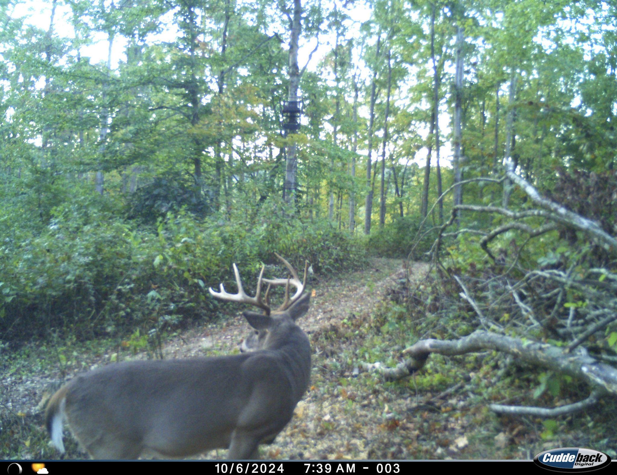 0 Sugar Run Road Property Photo 35
