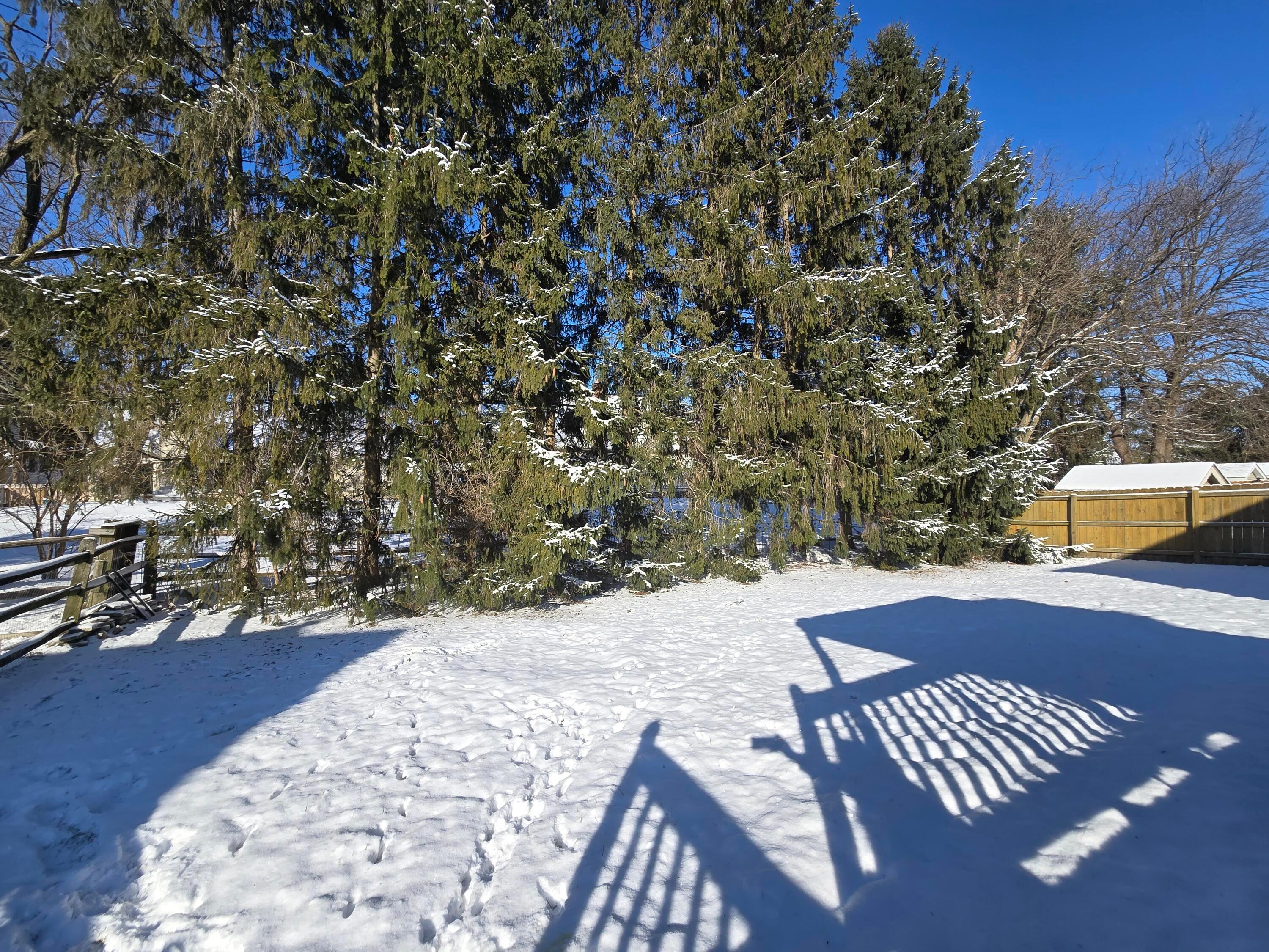 6907 Sparrow Lane Property Photo 34