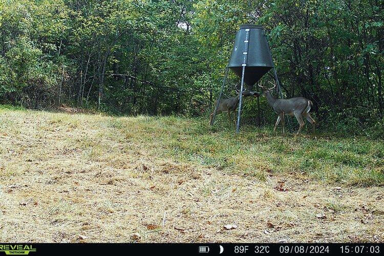 0 Van Zant Road Property Photo 3