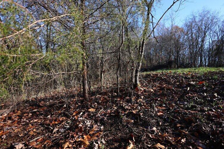 0 Van Zant Road Property Photo 13