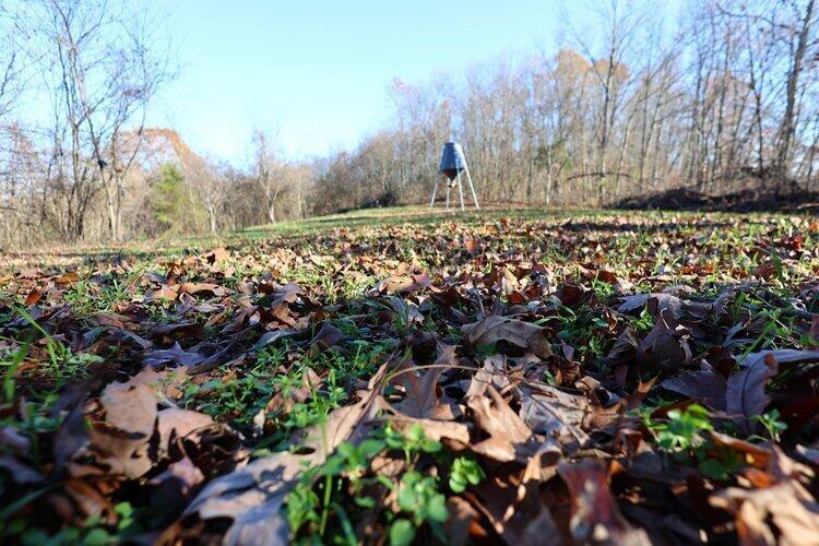 0 Van Zant Road Property Photo 14
