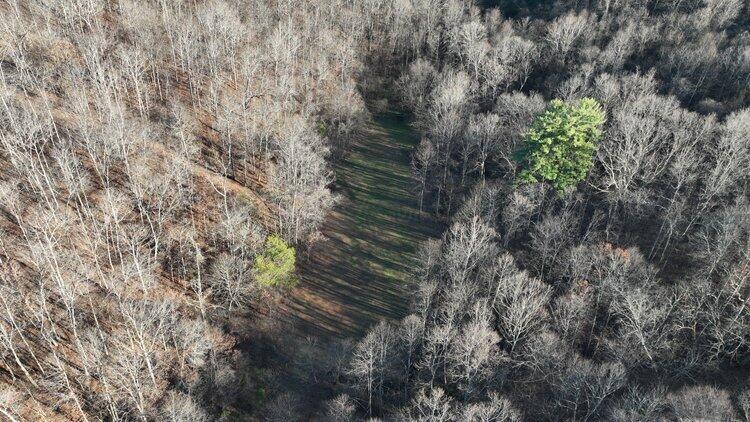 0 Van Zant Road Property Photo 22