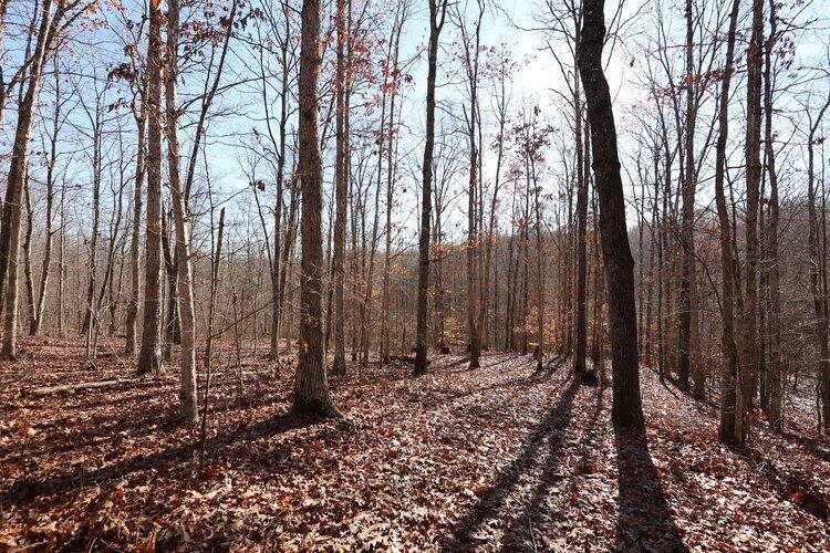 0 Van Zant Road Property Photo 27