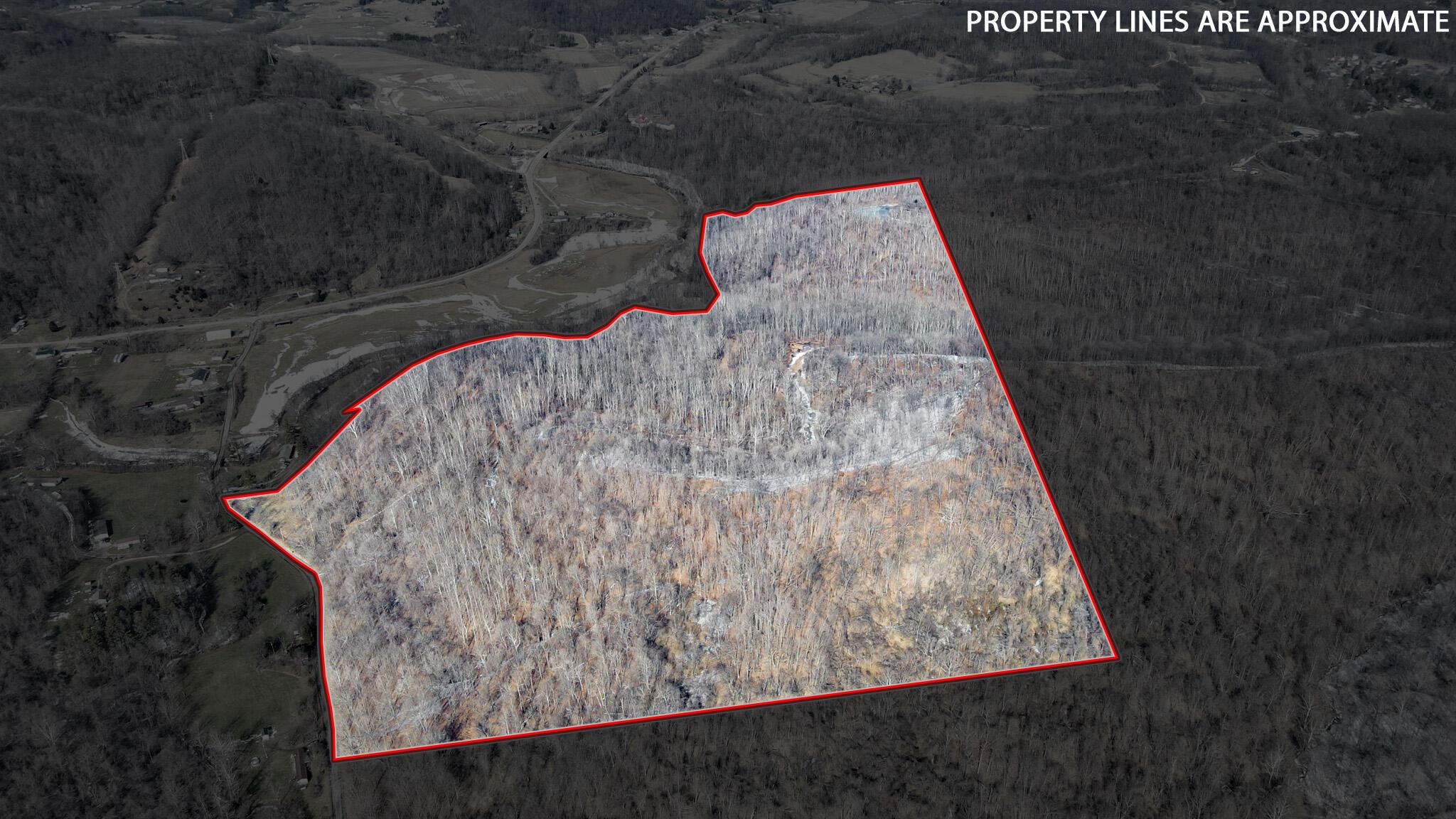 0 Williams Hollow Road Property Photo 2