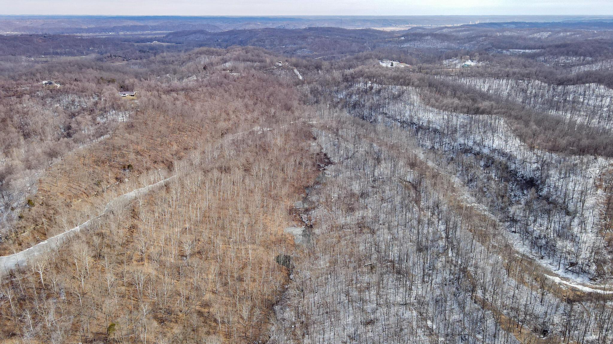 0 Williams Hollow Road Property Photo 6