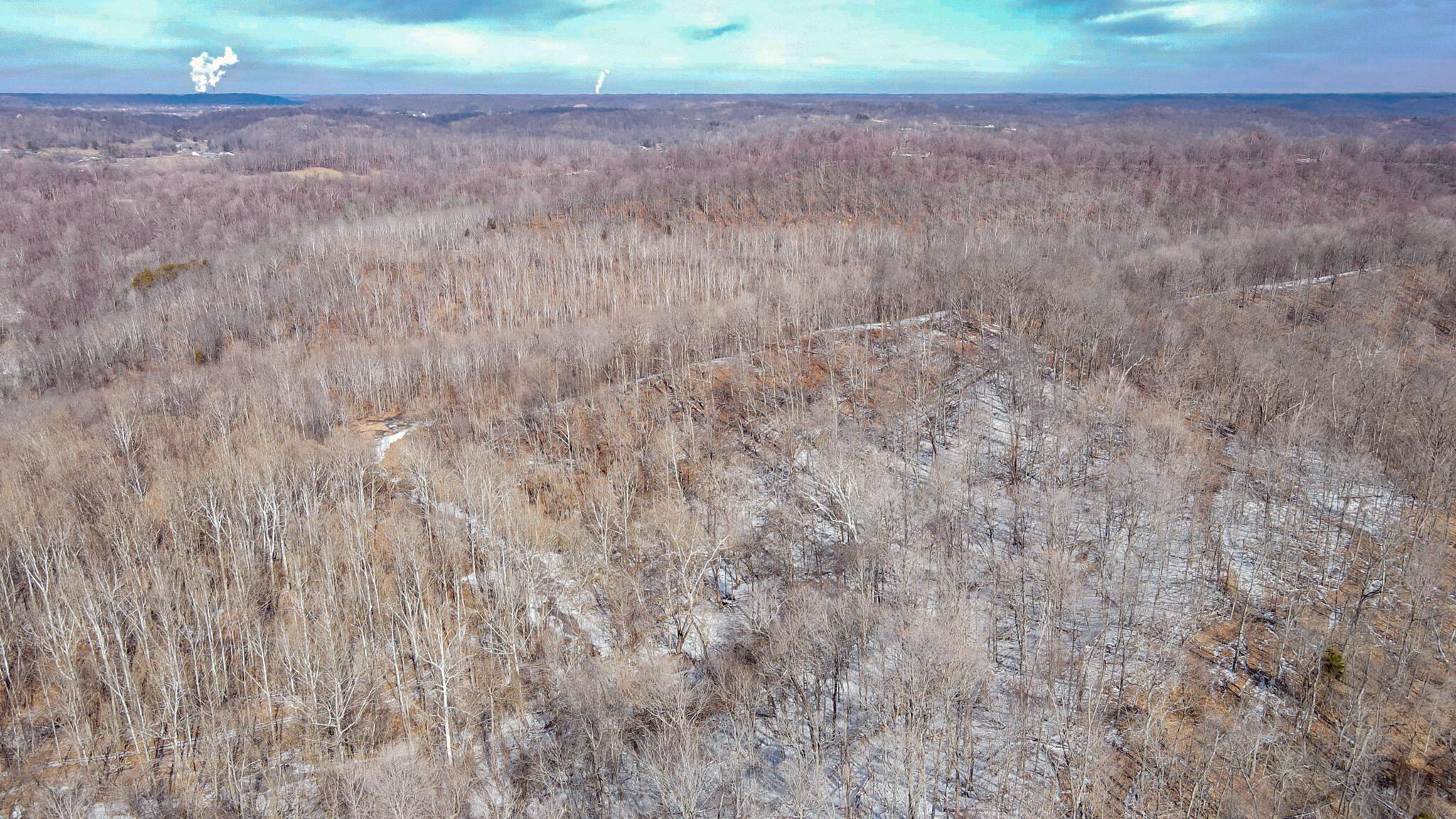 0 Williams Hollow Road Property Photo 8