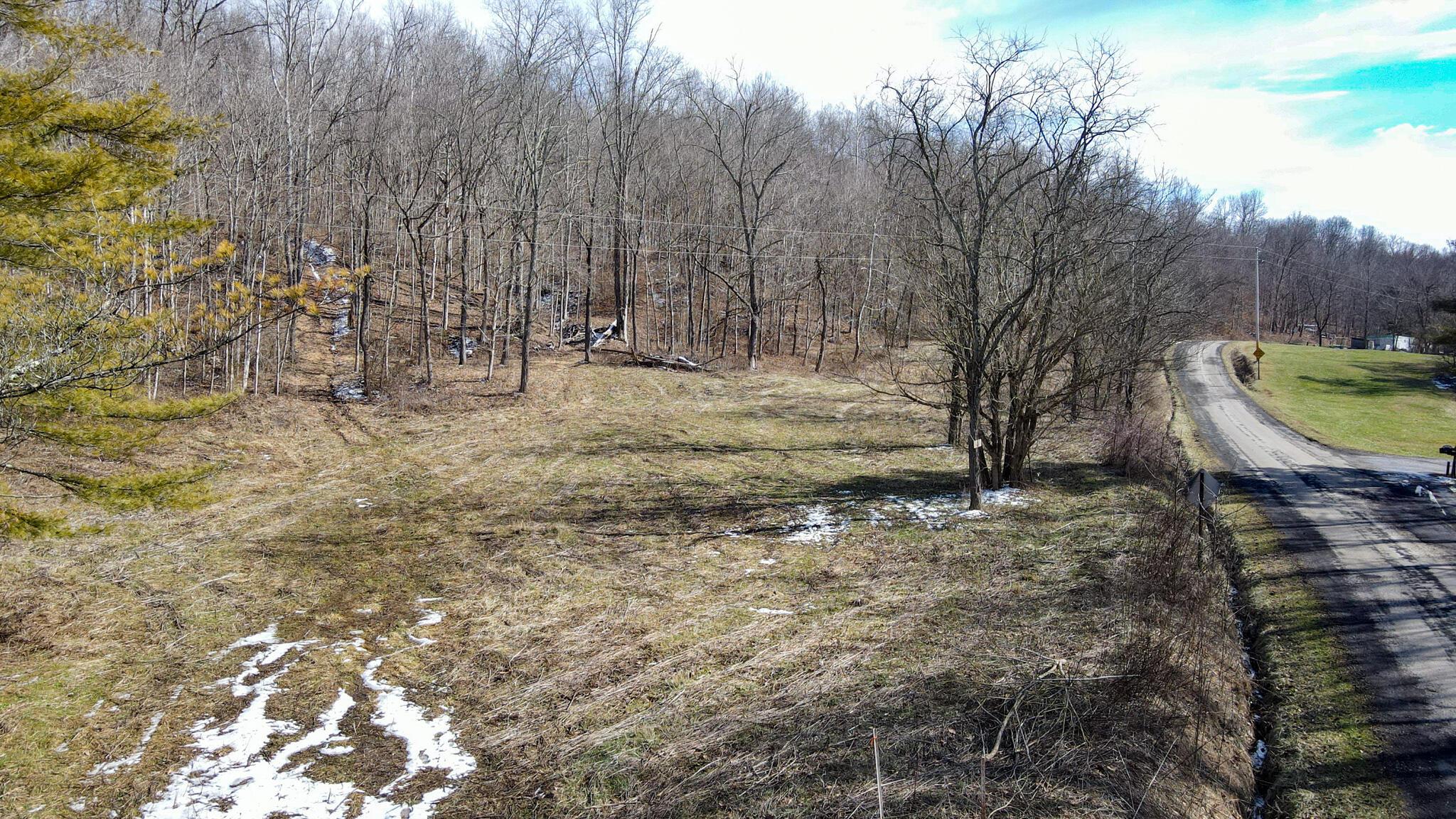 0 Williams Hollow Road Property Photo 9