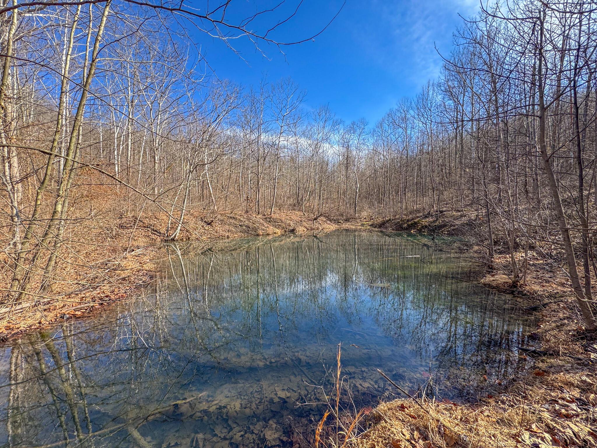 0 Williams Hollow Road Property Photo 10