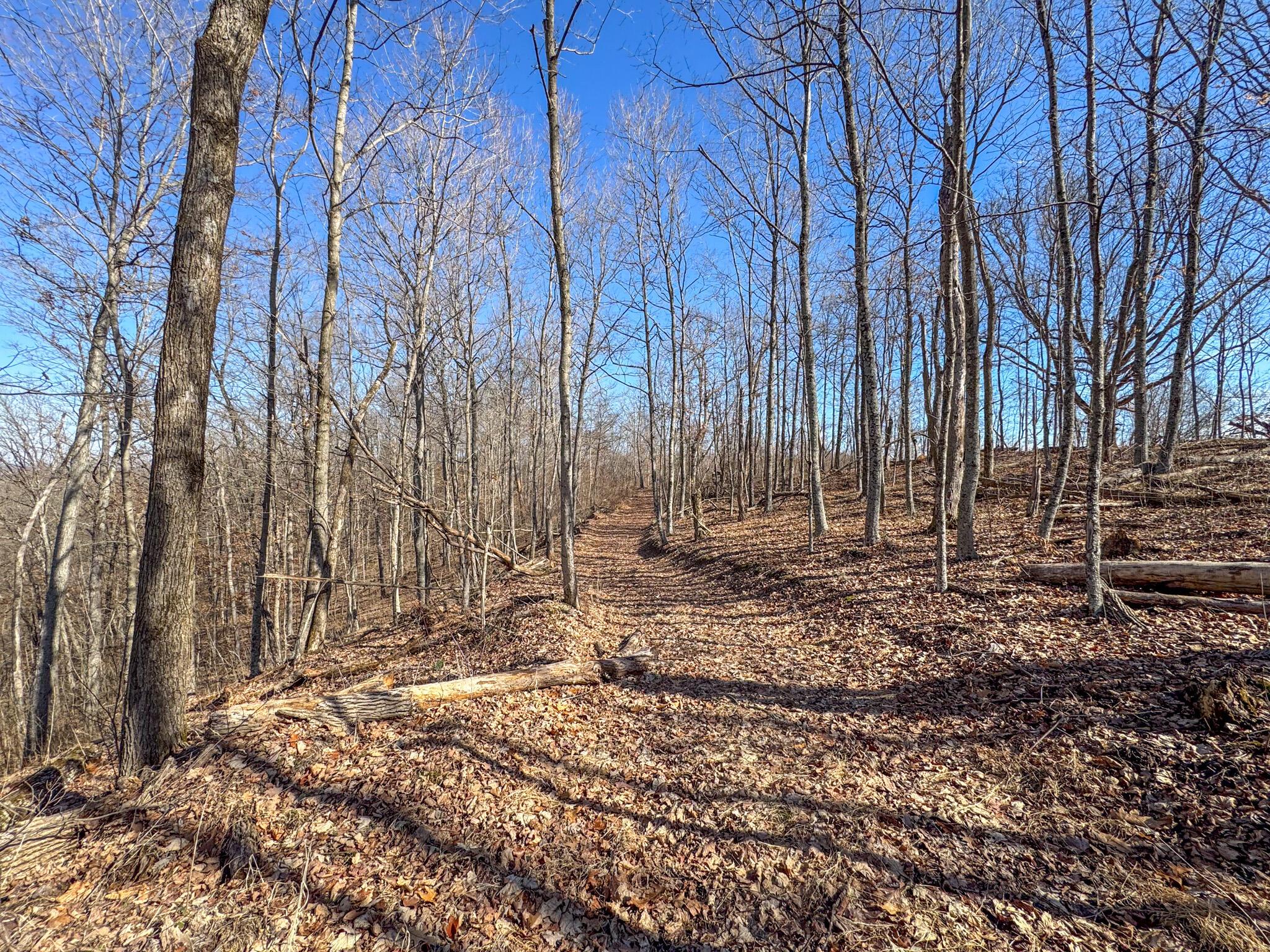 0 Williams Hollow Road Property Photo 11
