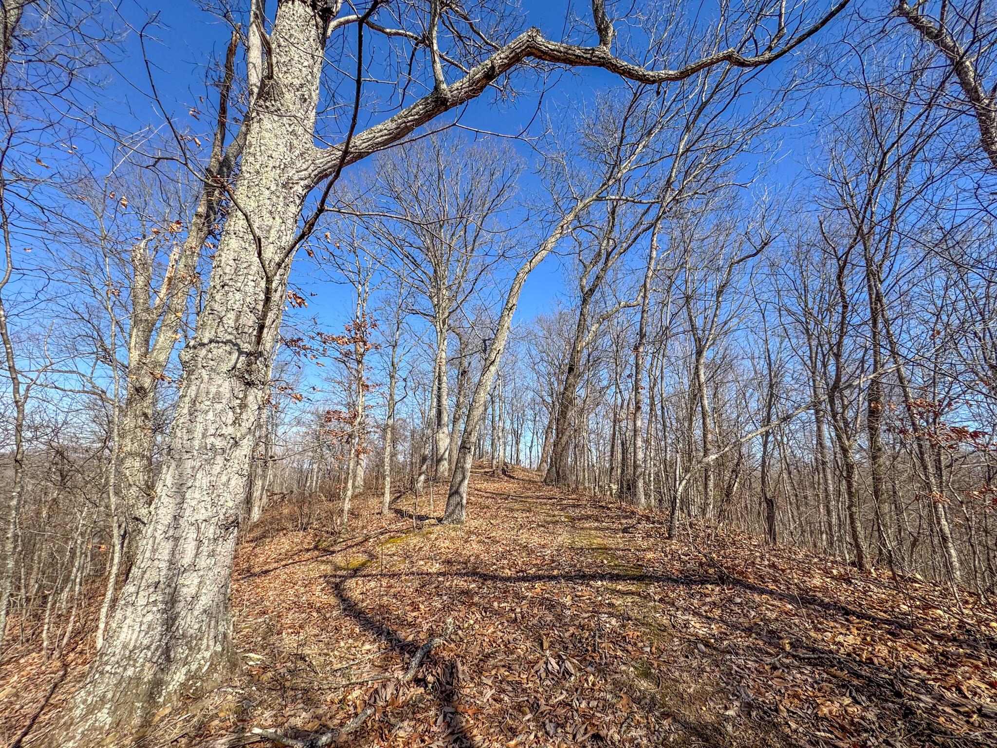 0 Williams Hollow Road Property Photo 12