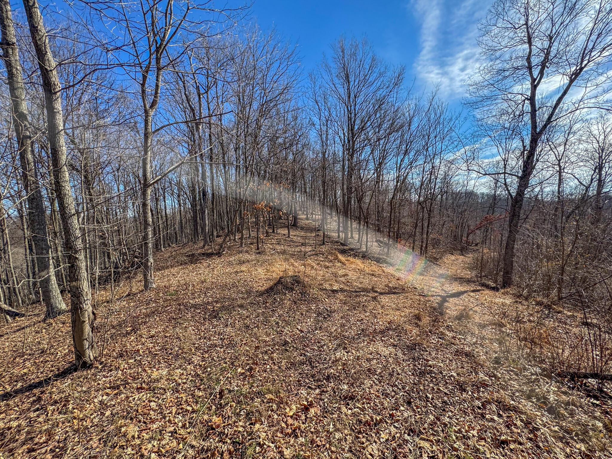 0 Williams Hollow Road Property Photo 13