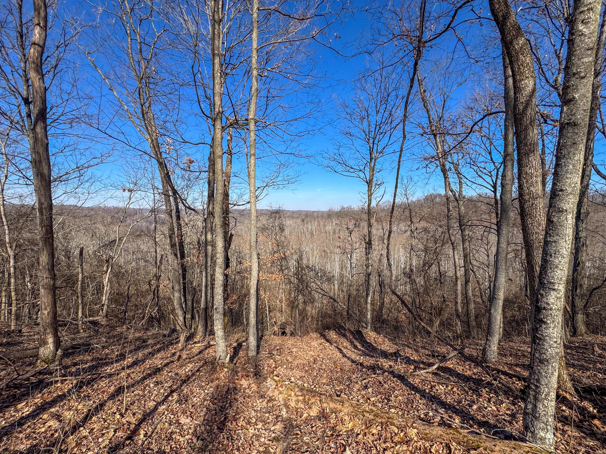 0 Williams Hollow Road Property Photo 14