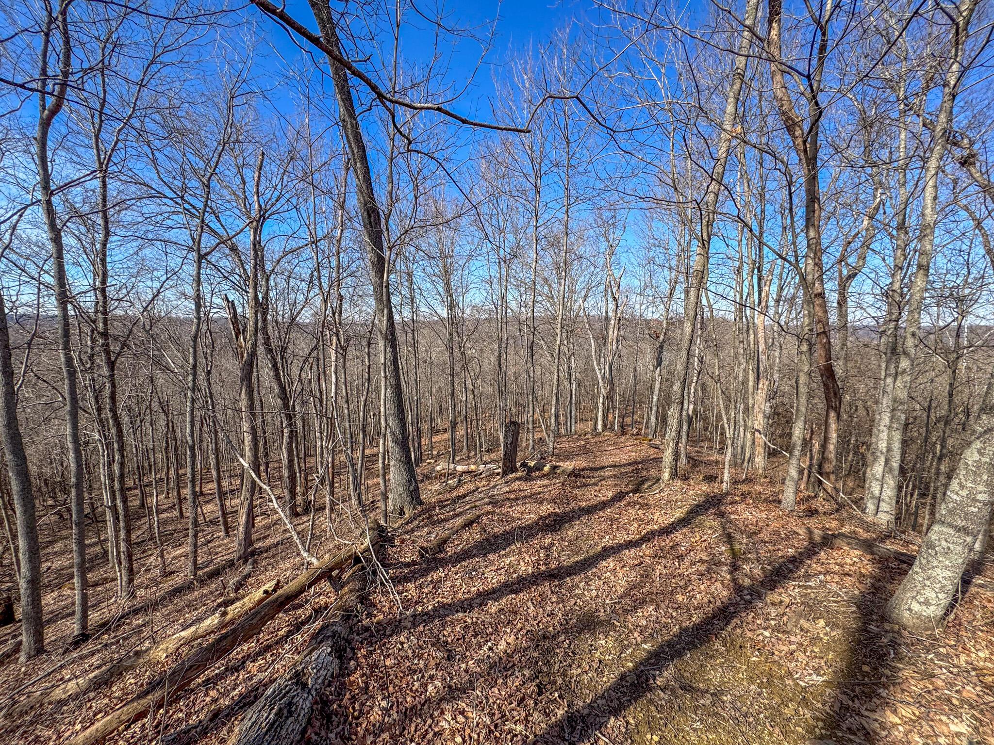 0 Williams Hollow Road Property Photo 16