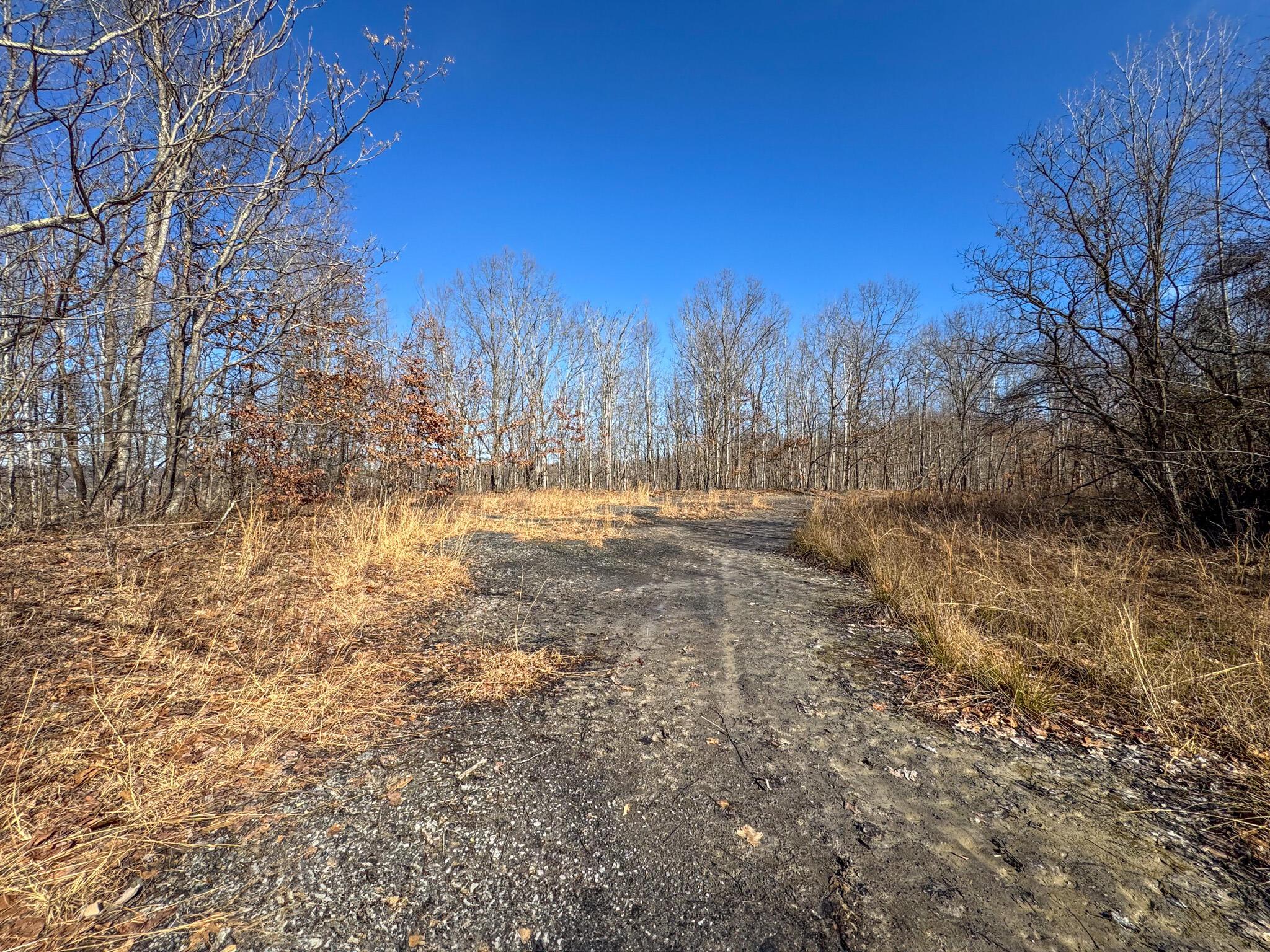 0 Williams Hollow Road Property Photo 17