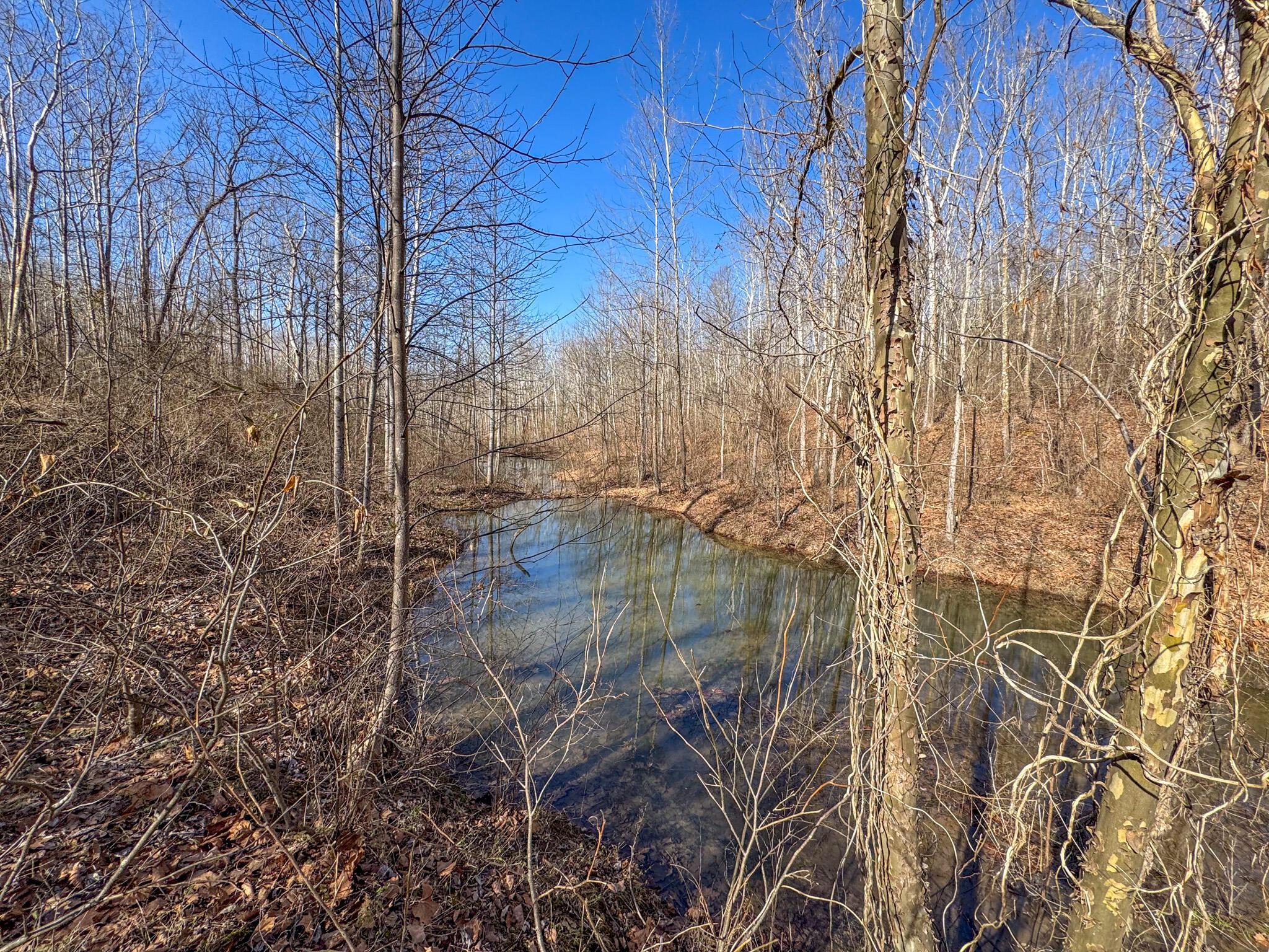 0 Williams Hollow Road Property Photo 18