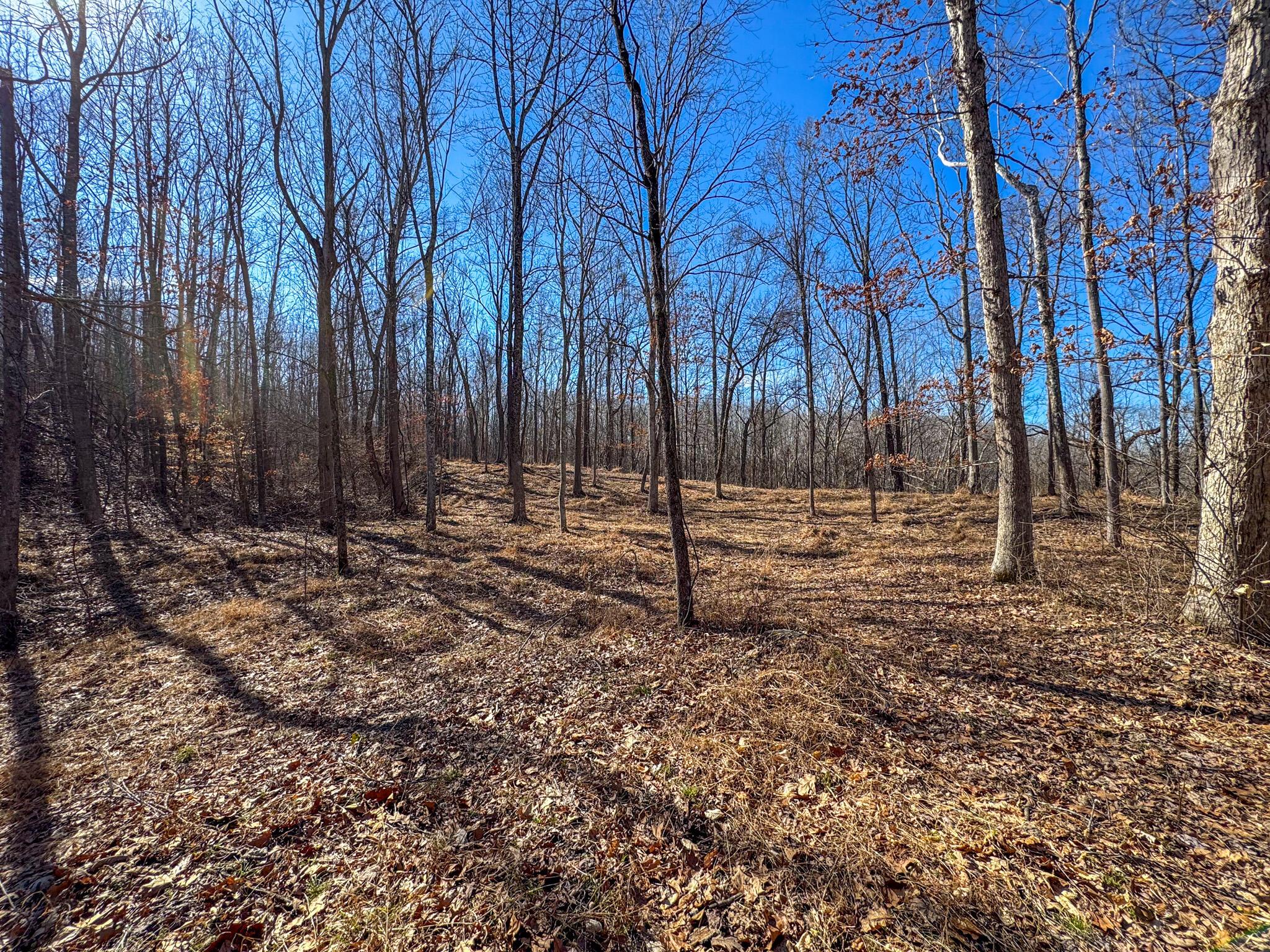 0 Williams Hollow Road Property Photo 19
