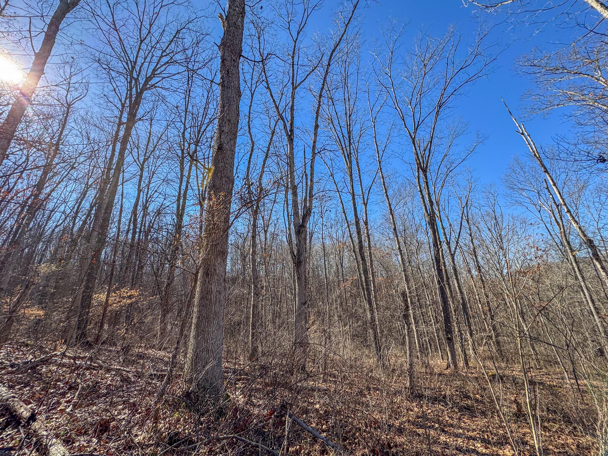 0 Williams Hollow Road Property Photo 20