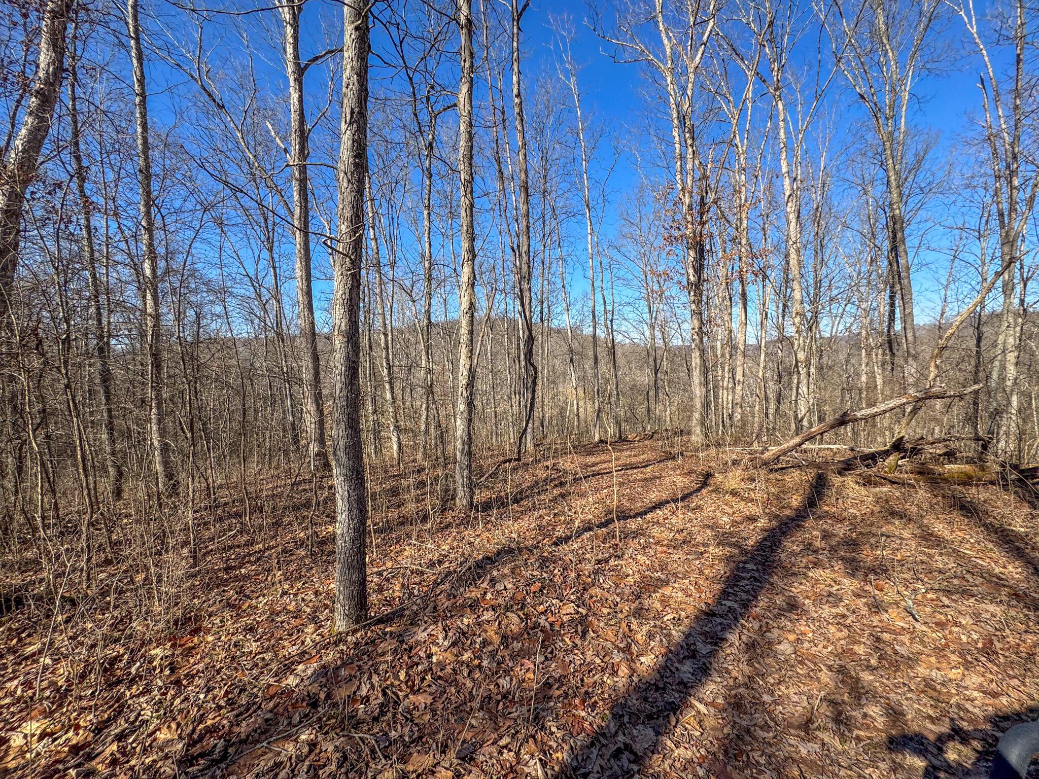0 Williams Hollow Road Property Photo 21
