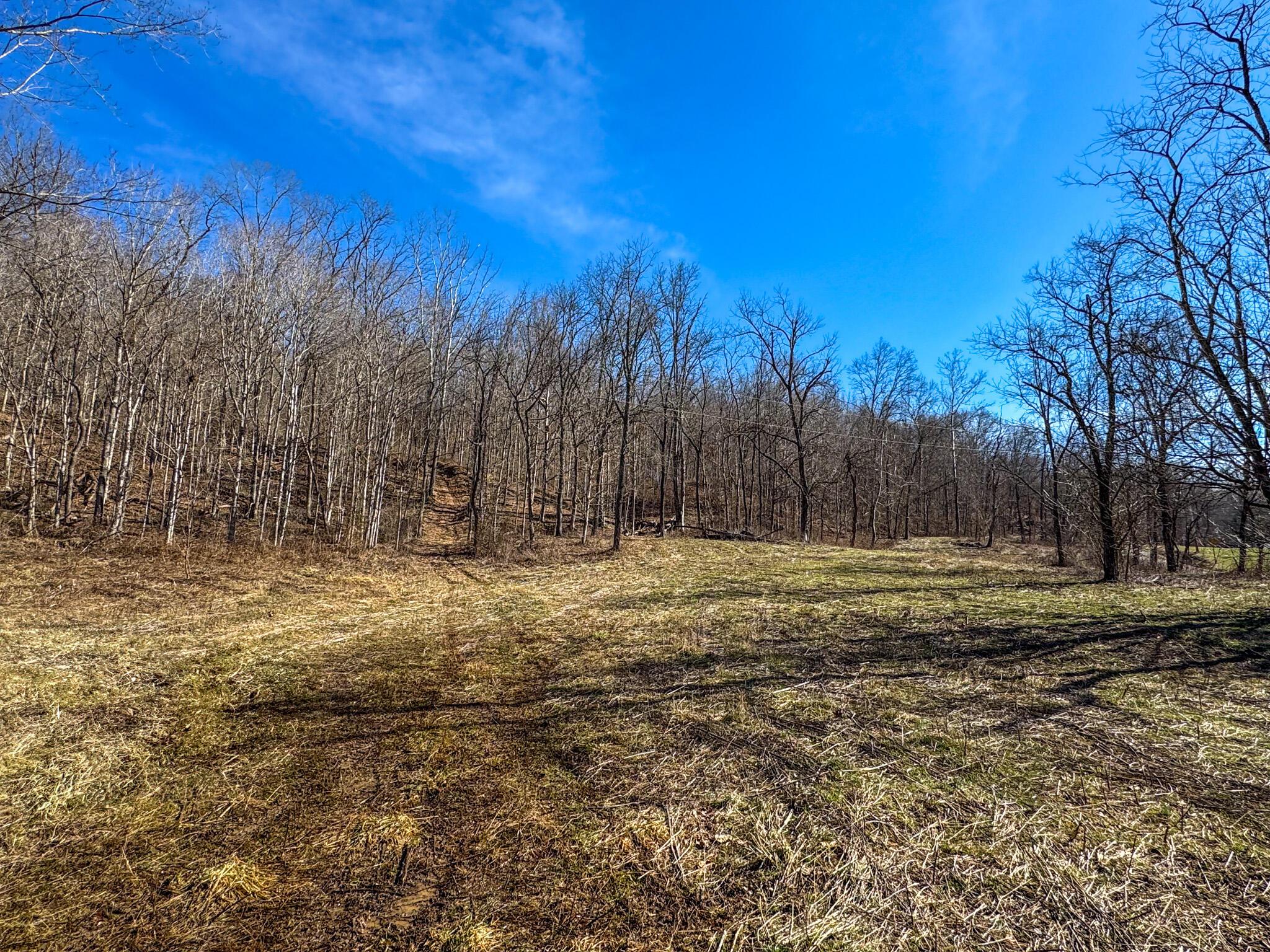 0 Williams Hollow Road Property Photo 23