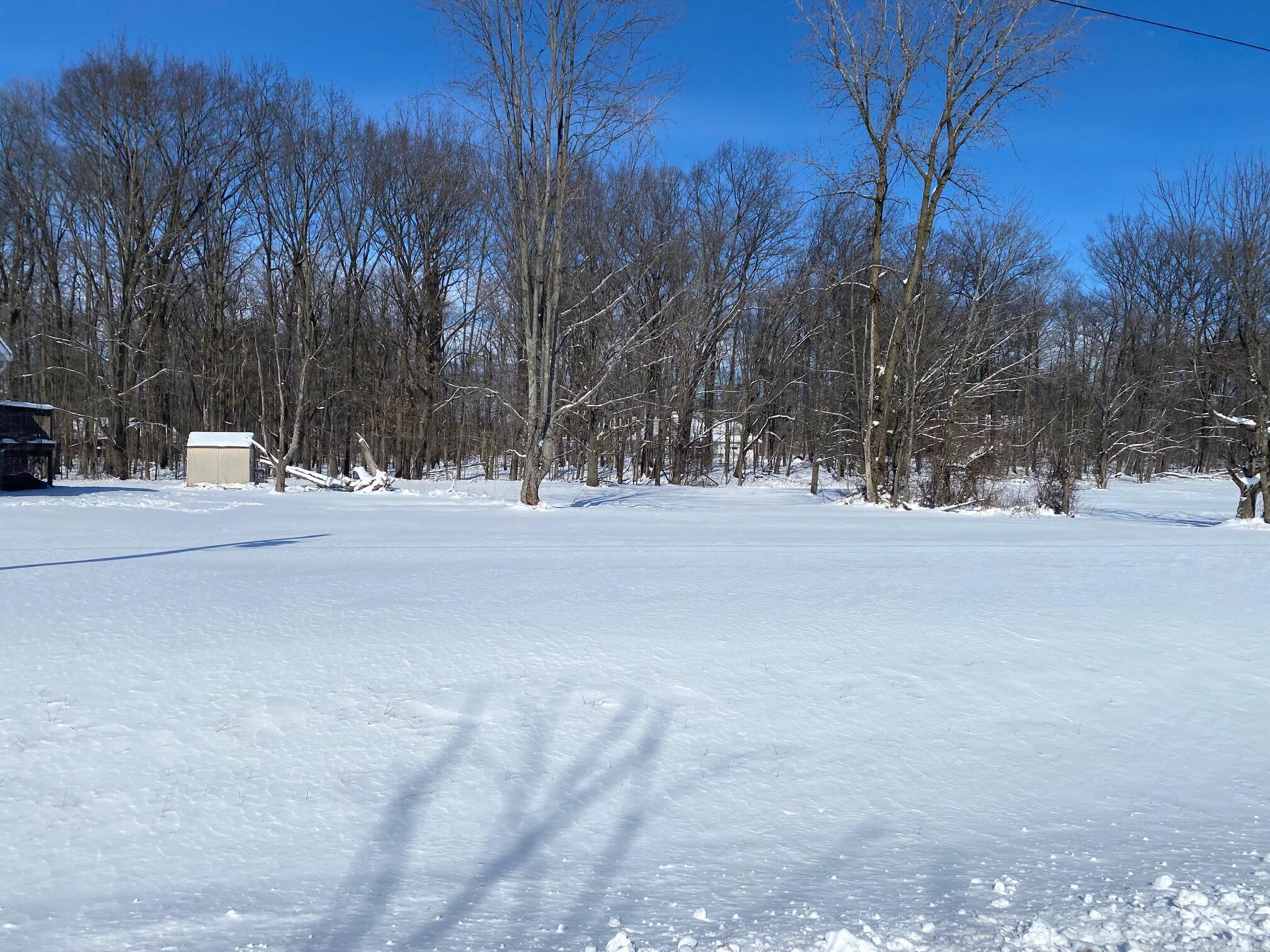 7326 State Route 19, Unit 2 Property Photo 1
