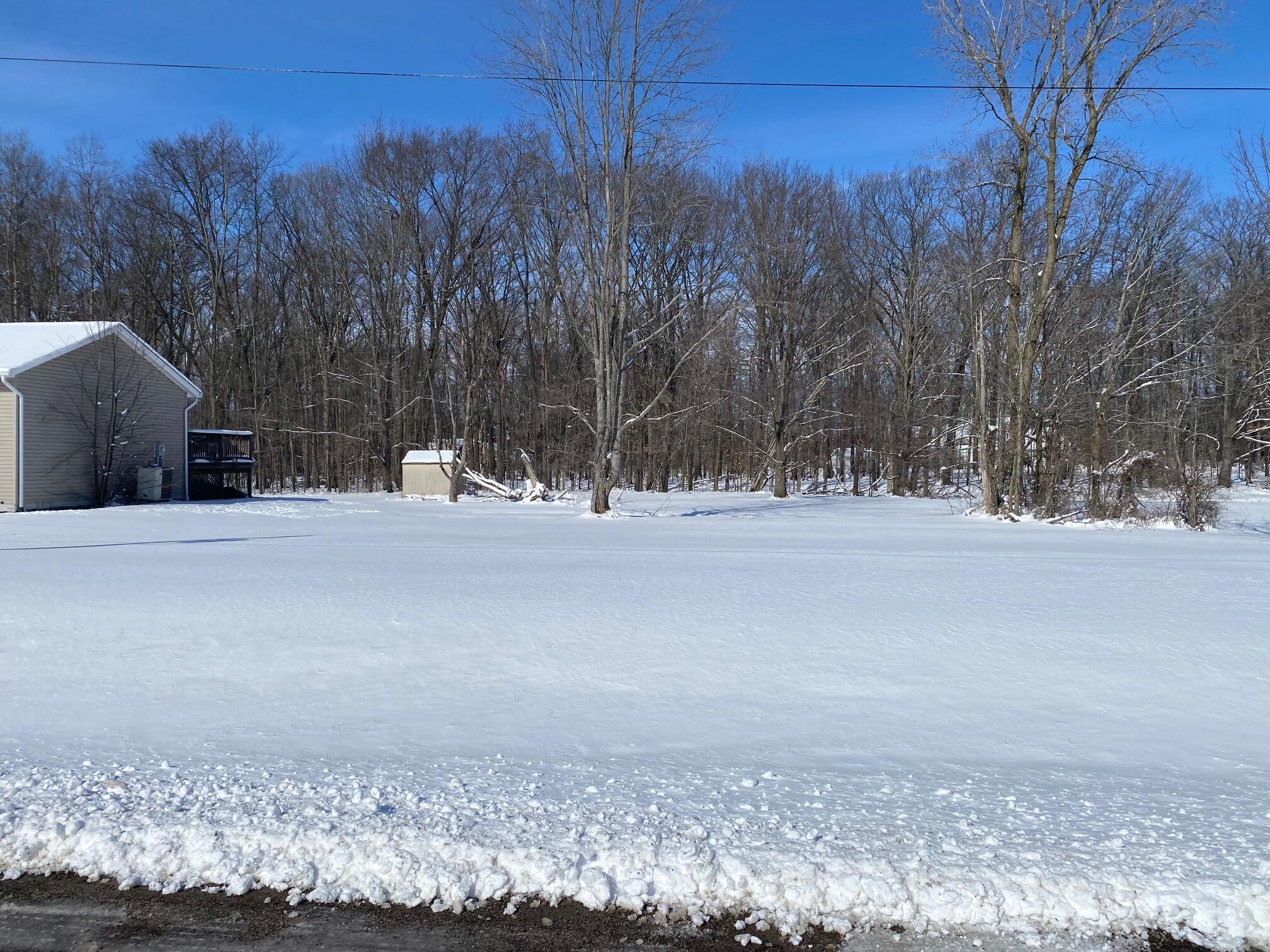 7326 State Route 19, Unit 2 Property Photo 2
