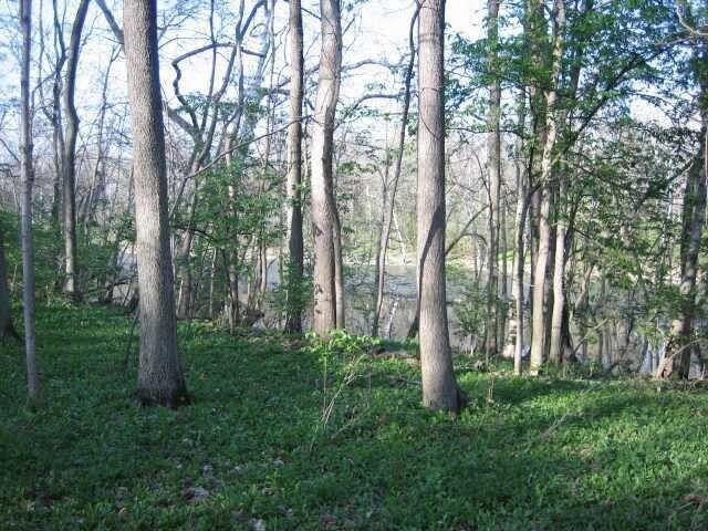 4650 Chatham Court Property Photo 4