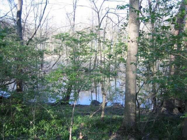 4650 Chatham Court Property Photo 6