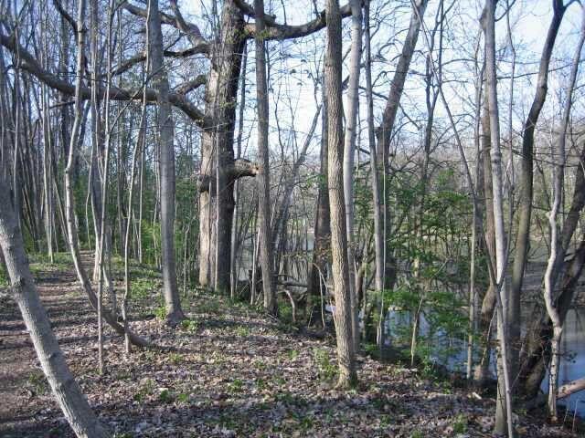 4650 Chatham Court Property Photo 8