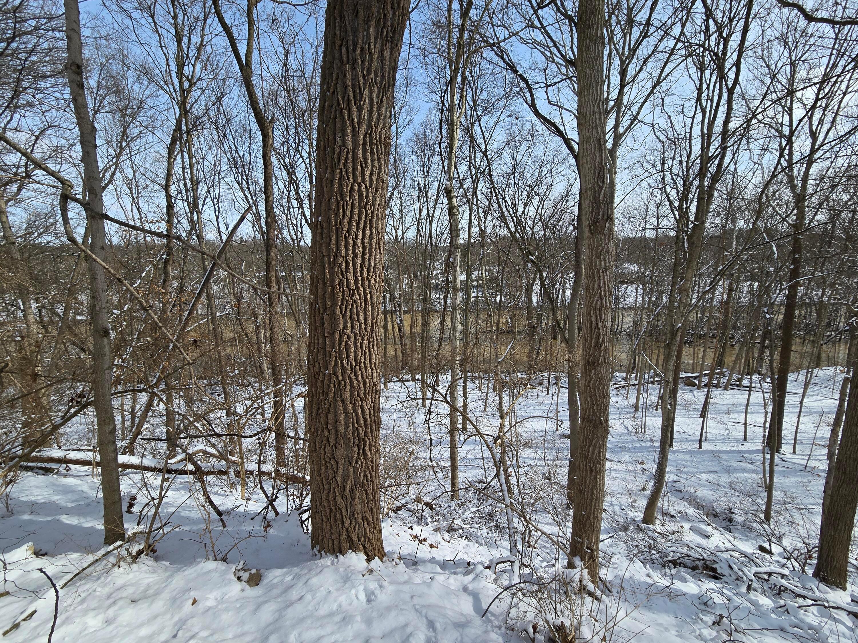 4650 Chatham Court Property Photo 13