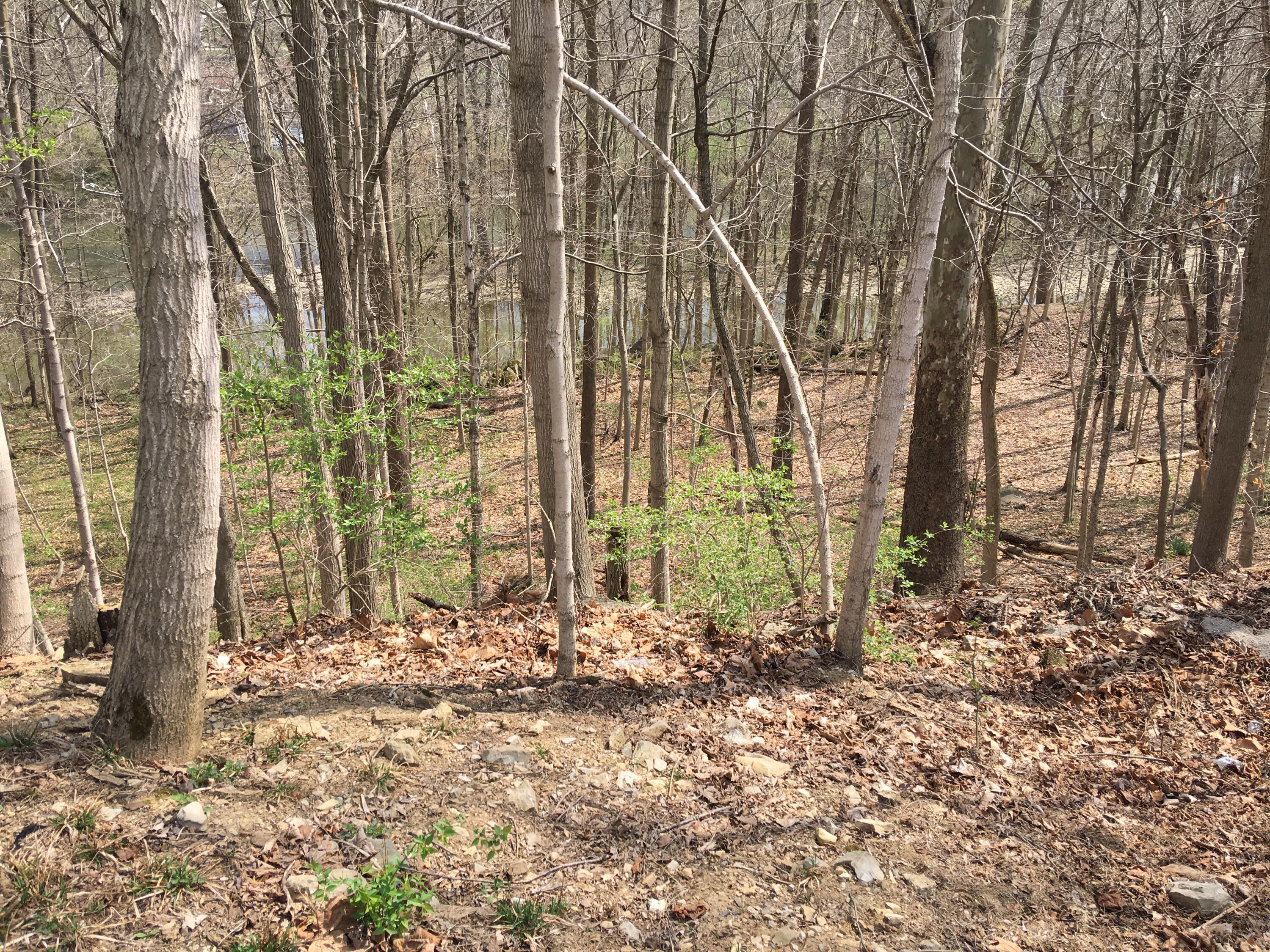 4650 Chatham Court Property Photo 16