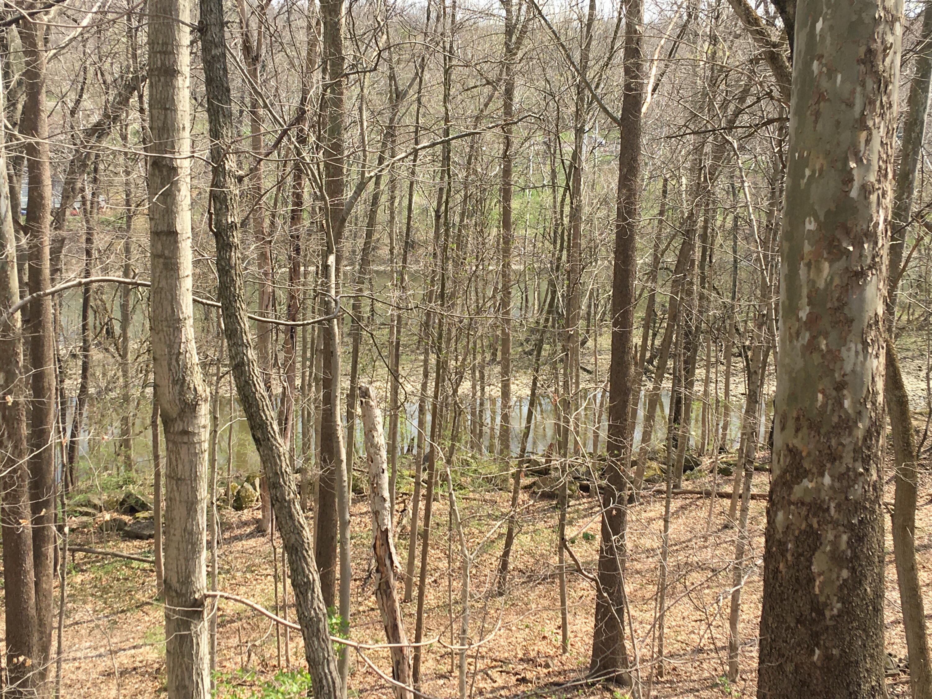 4650 Chatham Court Property Photo 18