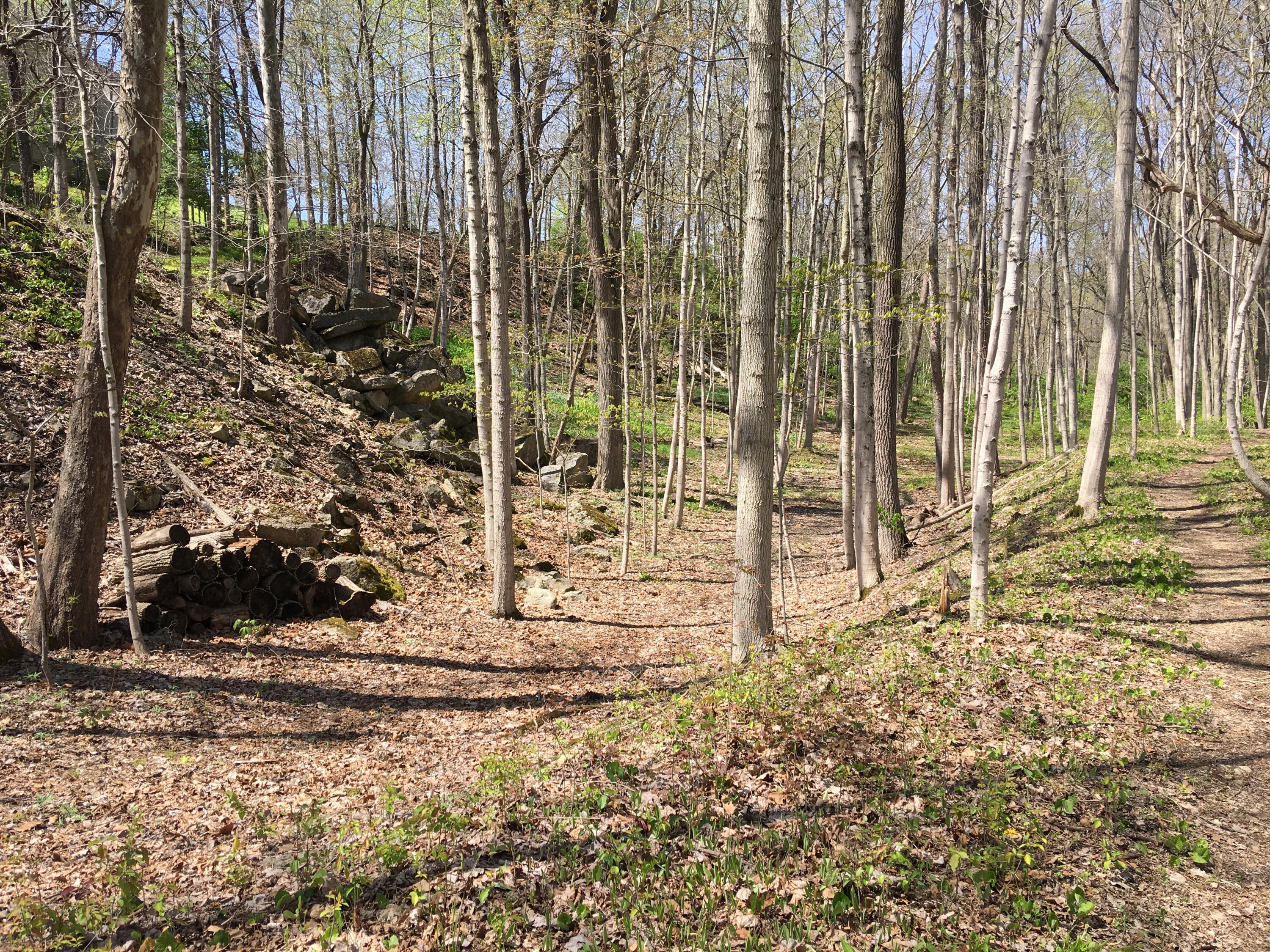 4650 Chatham Court Property Photo 20