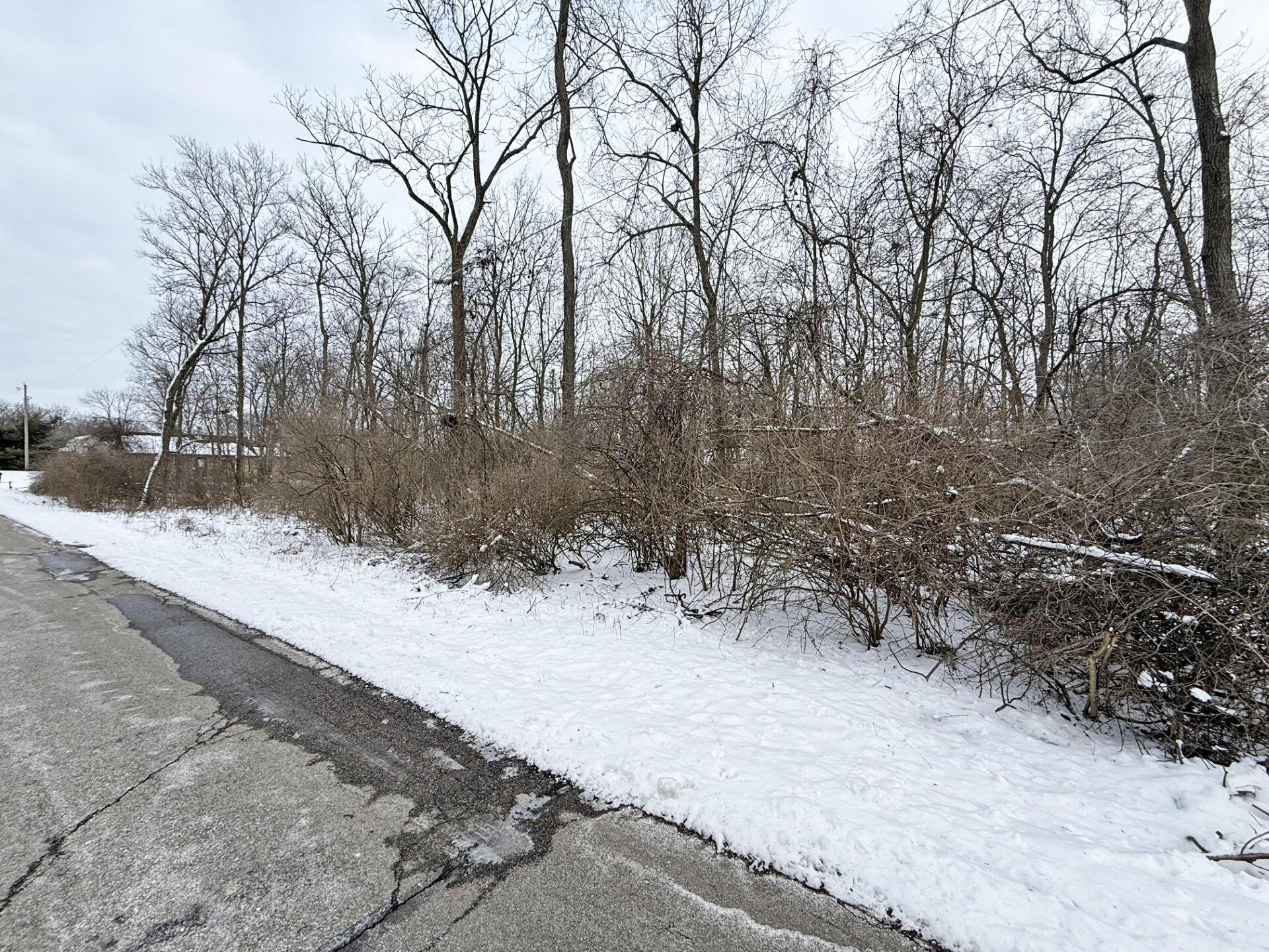 0 E Hiawatha Drive Property Photo 3