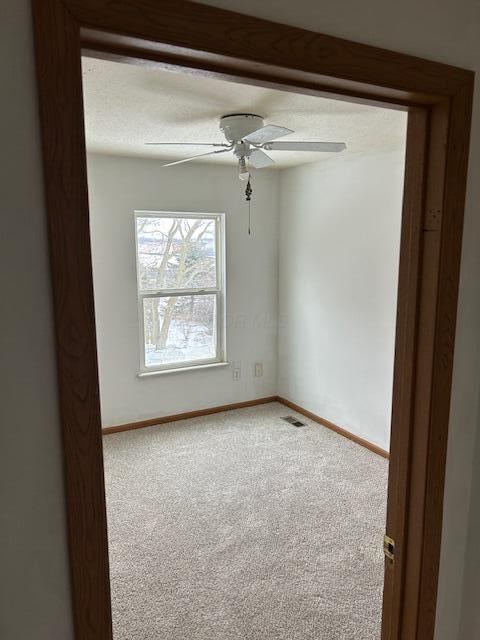 604 Princeton Street Property Photo 13