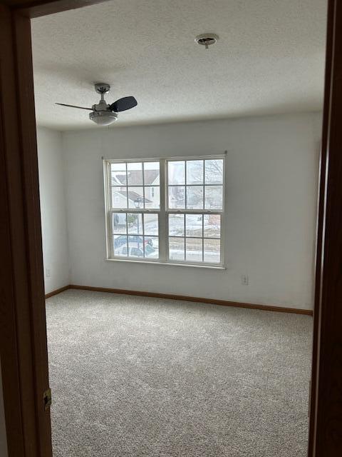 604 Princeton Street Property Photo 16